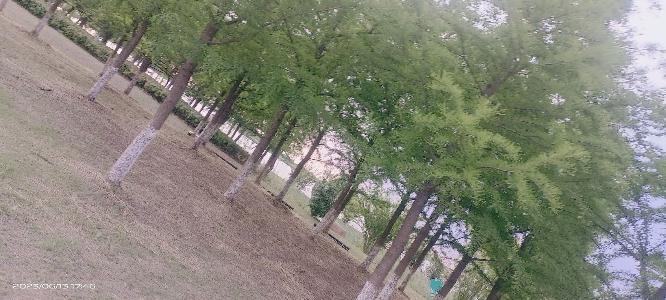 日月湖旅行图片 3