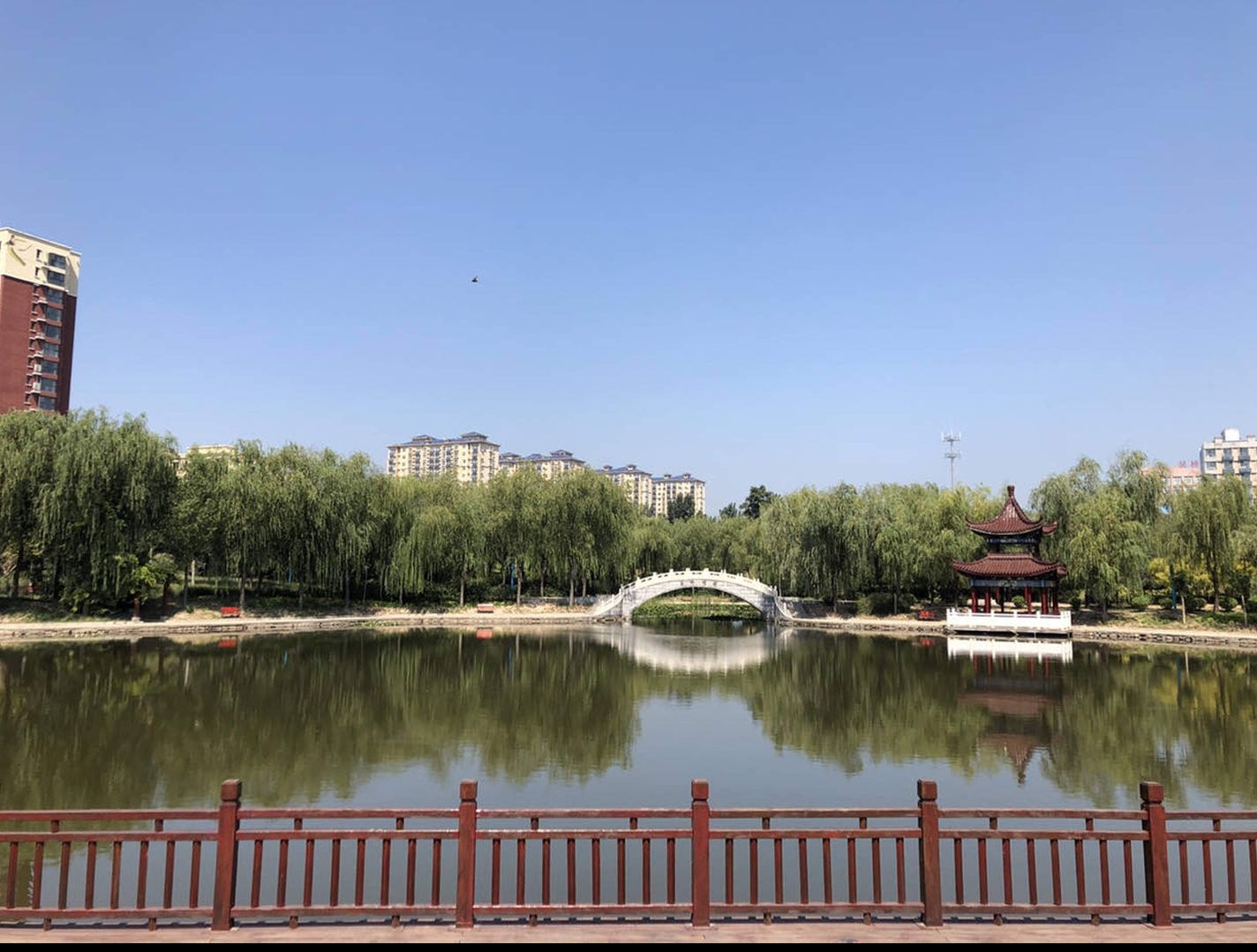 杂技文化公园旅行图片 2