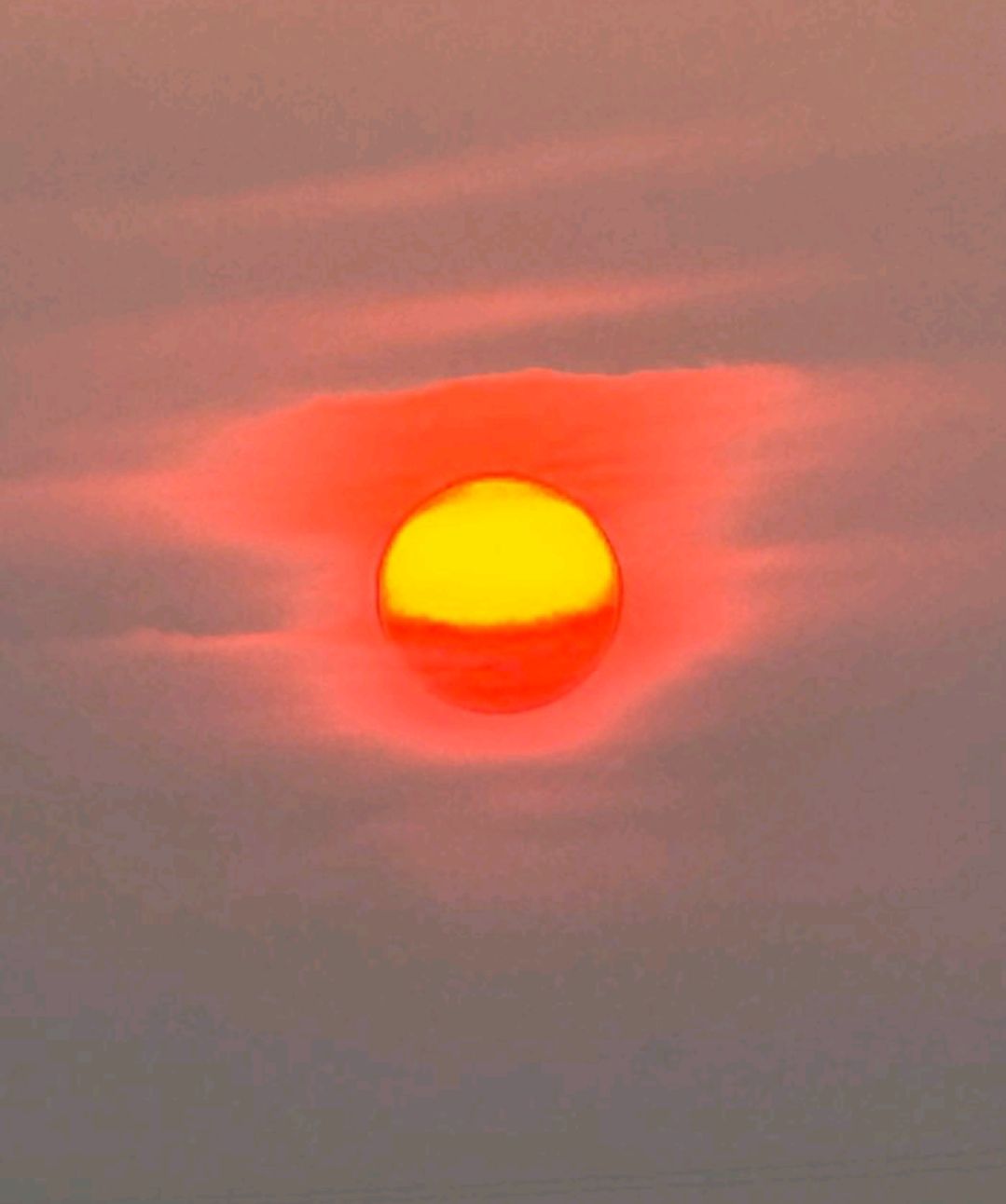 葛天源公园旅行图片 2