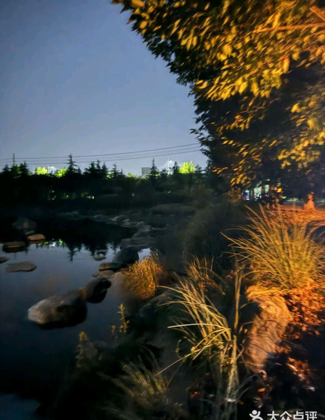 葛天源公园旅行图片 3