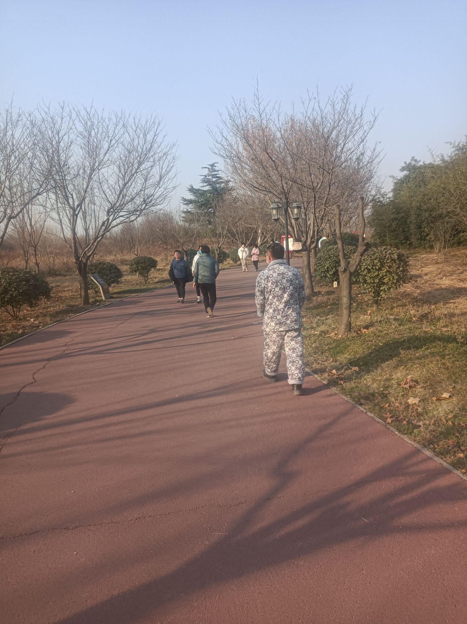 葛天源公园旅行图片 2