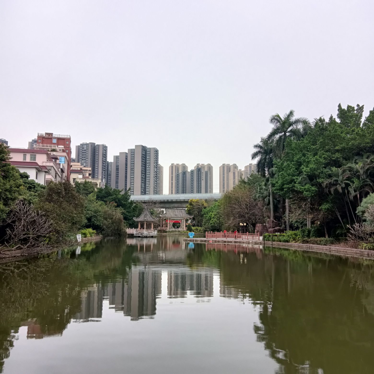 洲村公园旅行图片 3