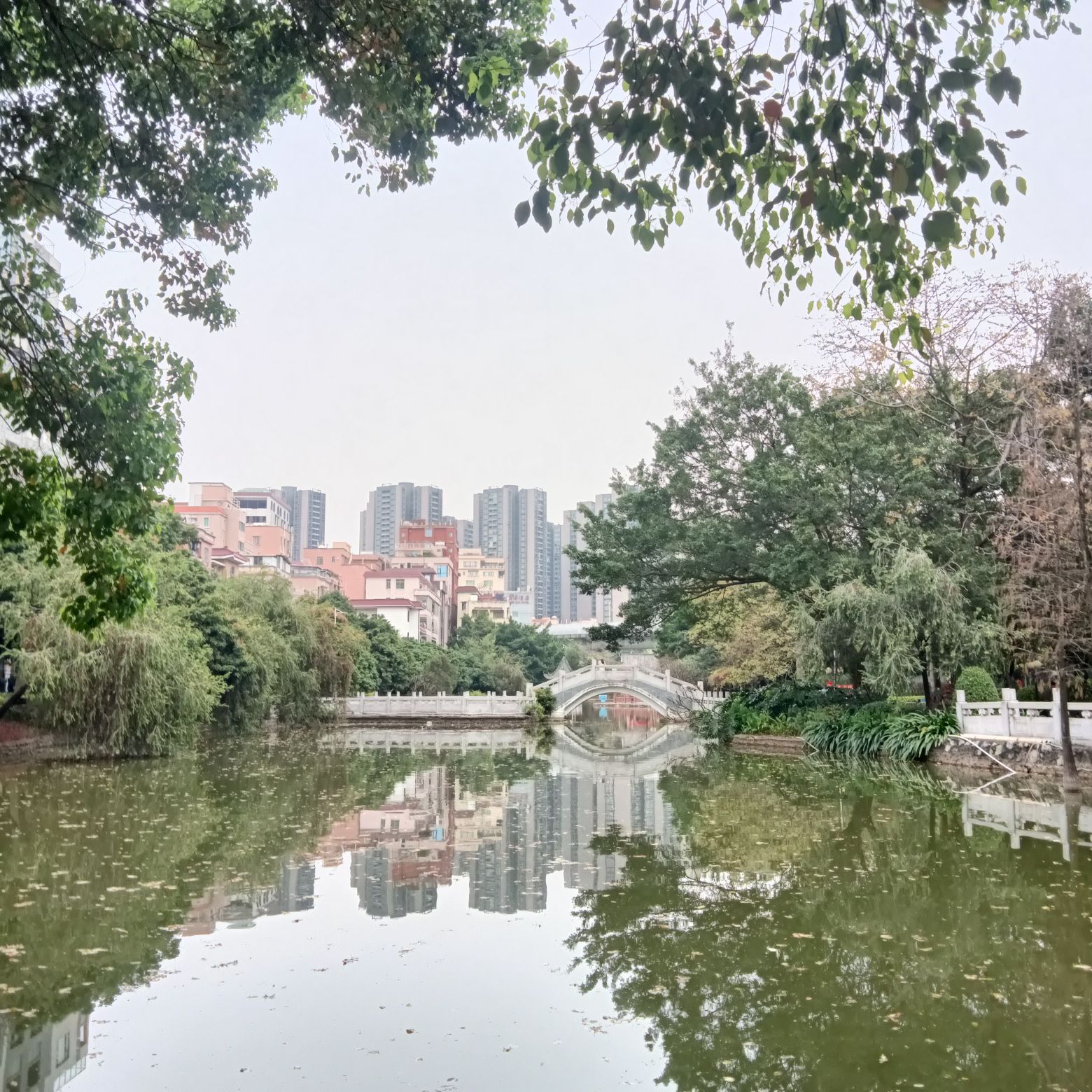 洲村公园旅行图片 2