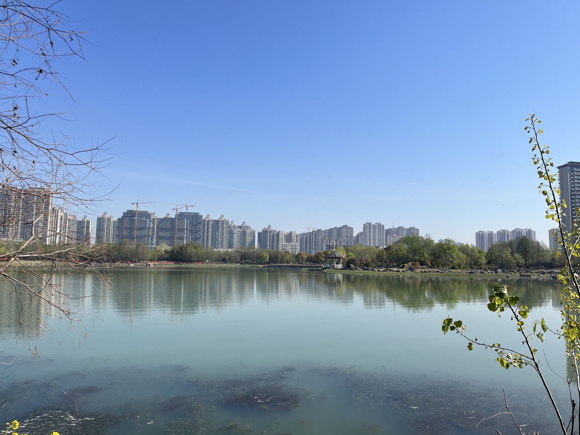 阳光湖公园旅行图片 2