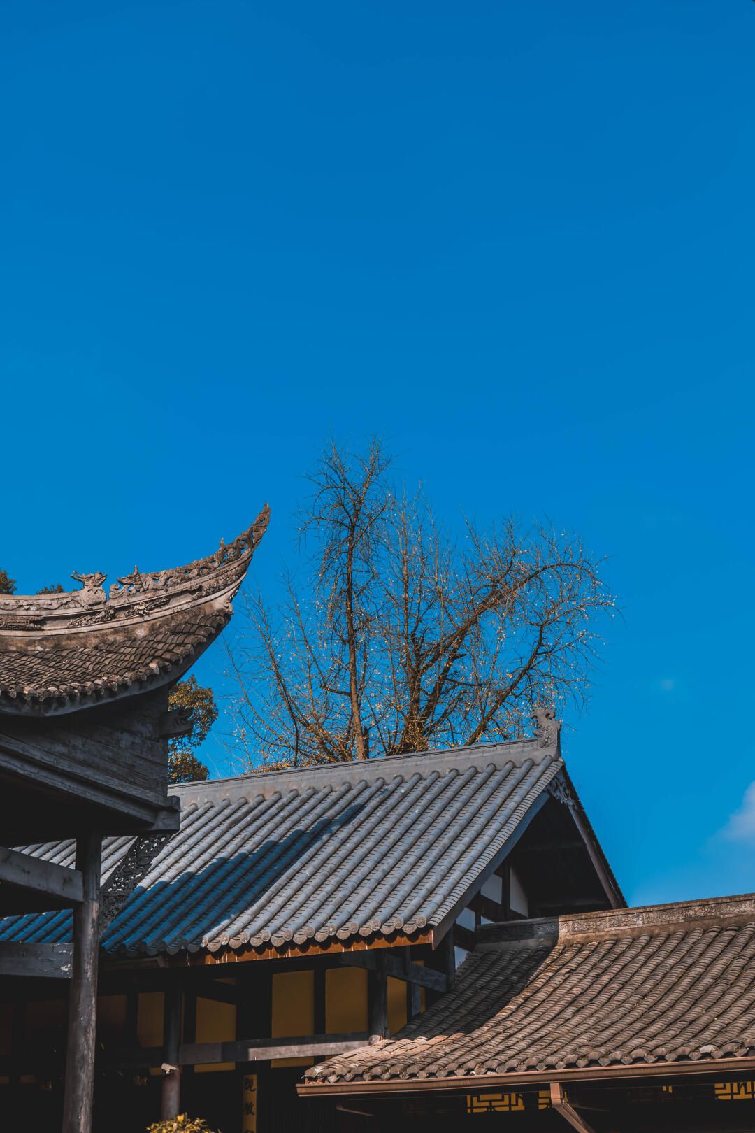 天心寺禅茶文化旅游区旅行图片 2