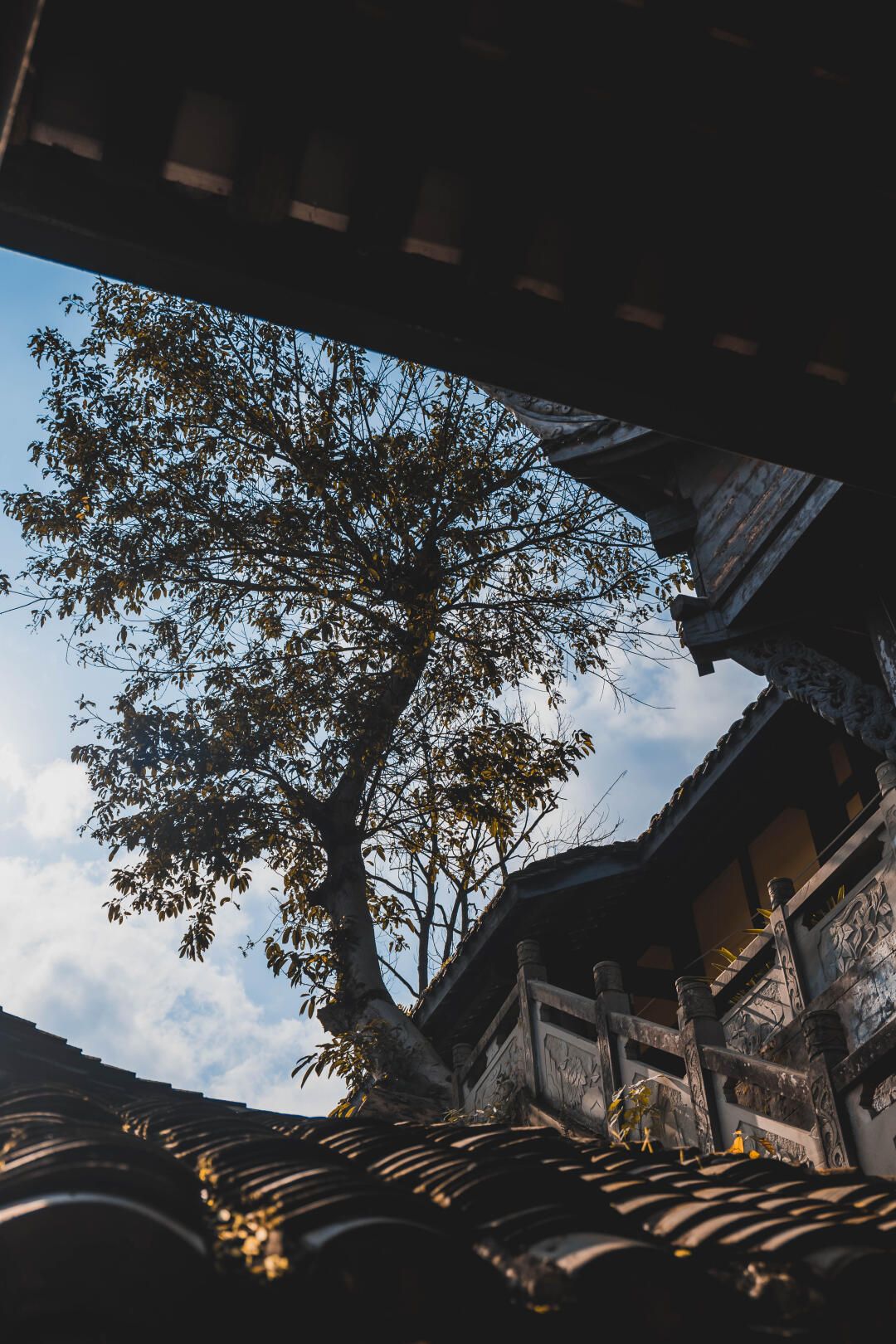 天心寺禅茶文化旅游区旅行图片 3