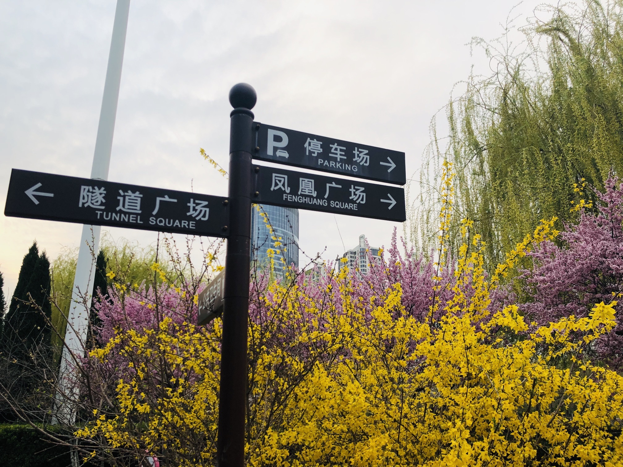 隧道广场旅行图片 1