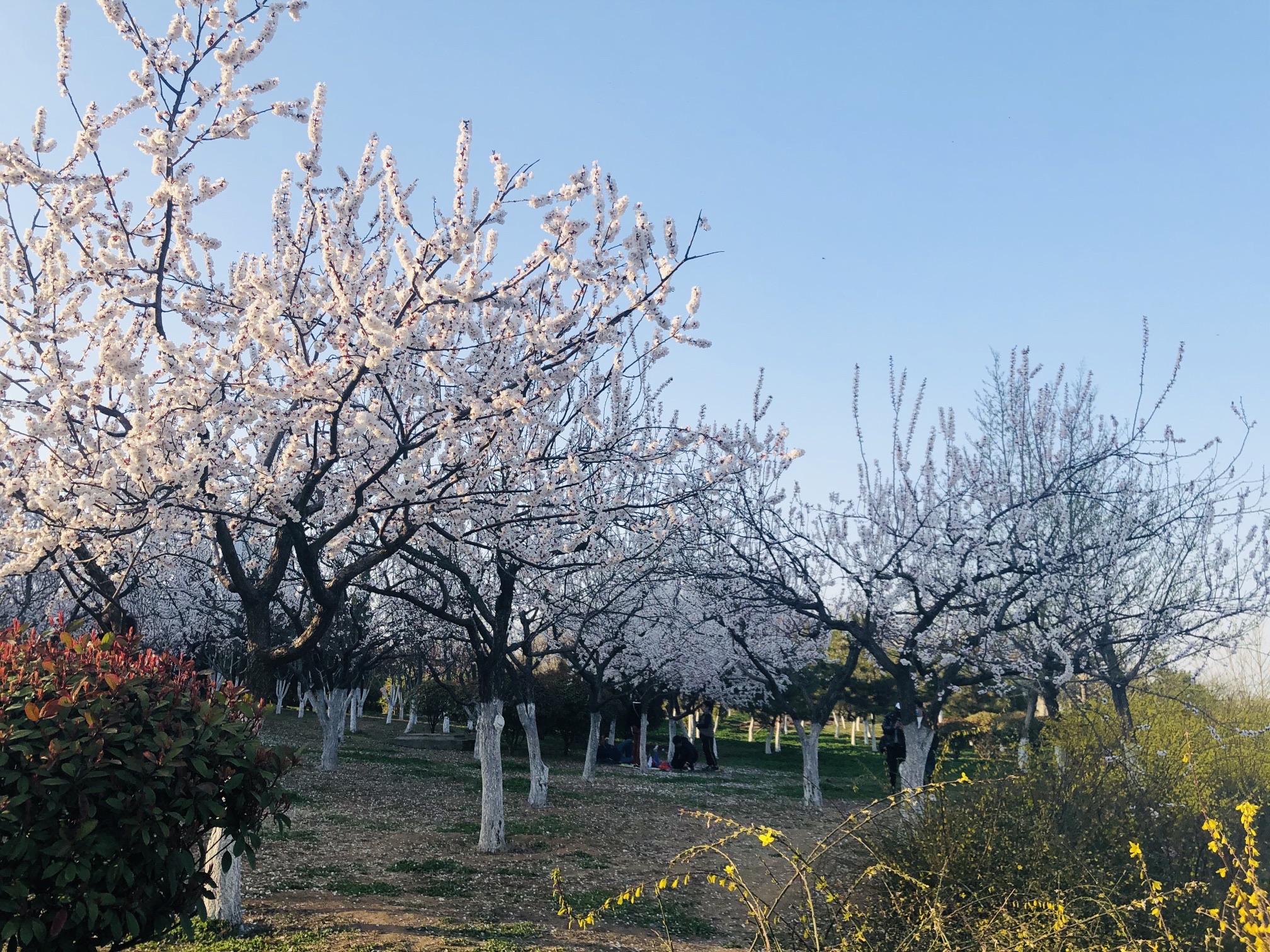隧道广场旅行图片 2