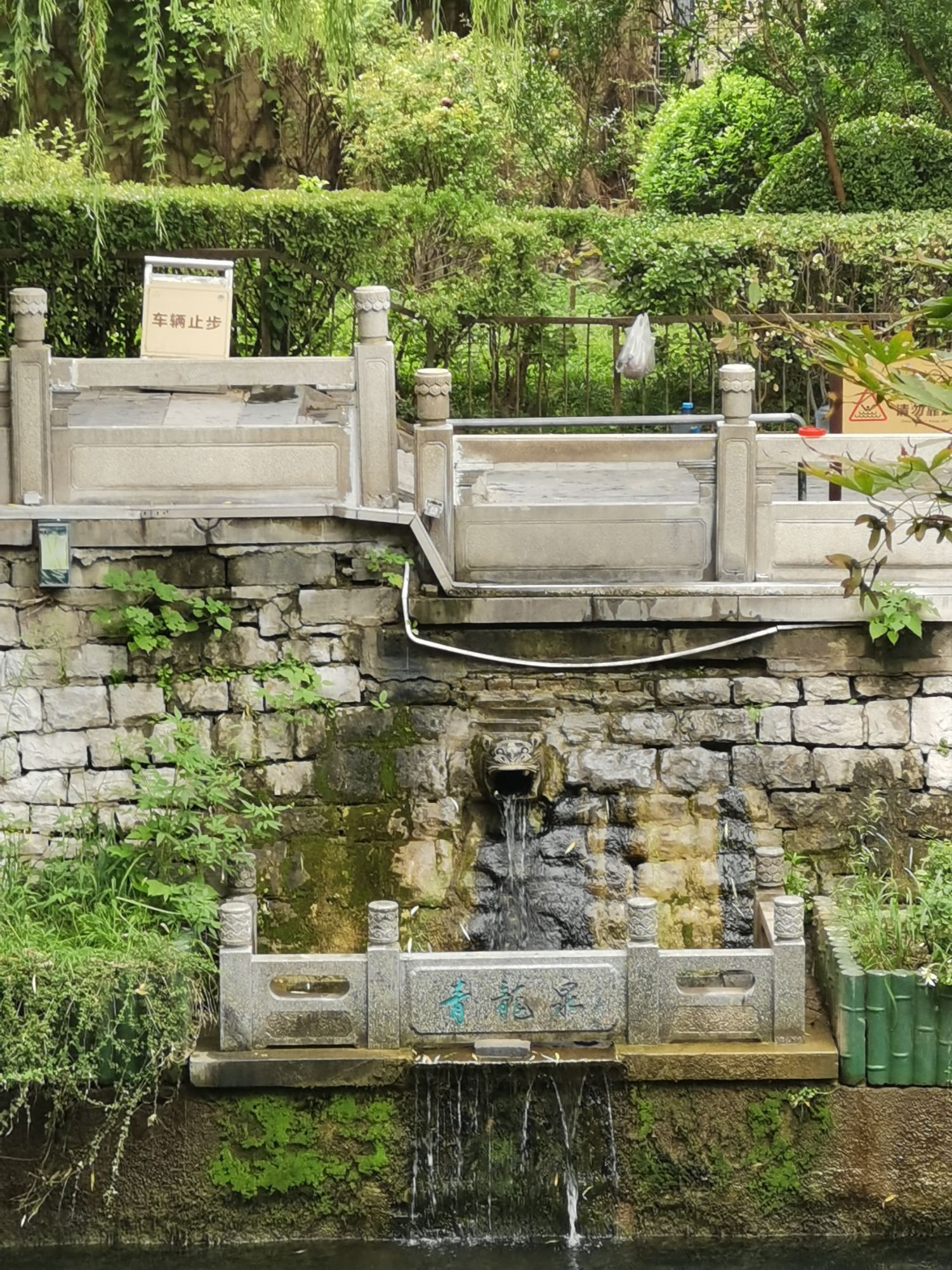 济南市环城公园-青龙泉