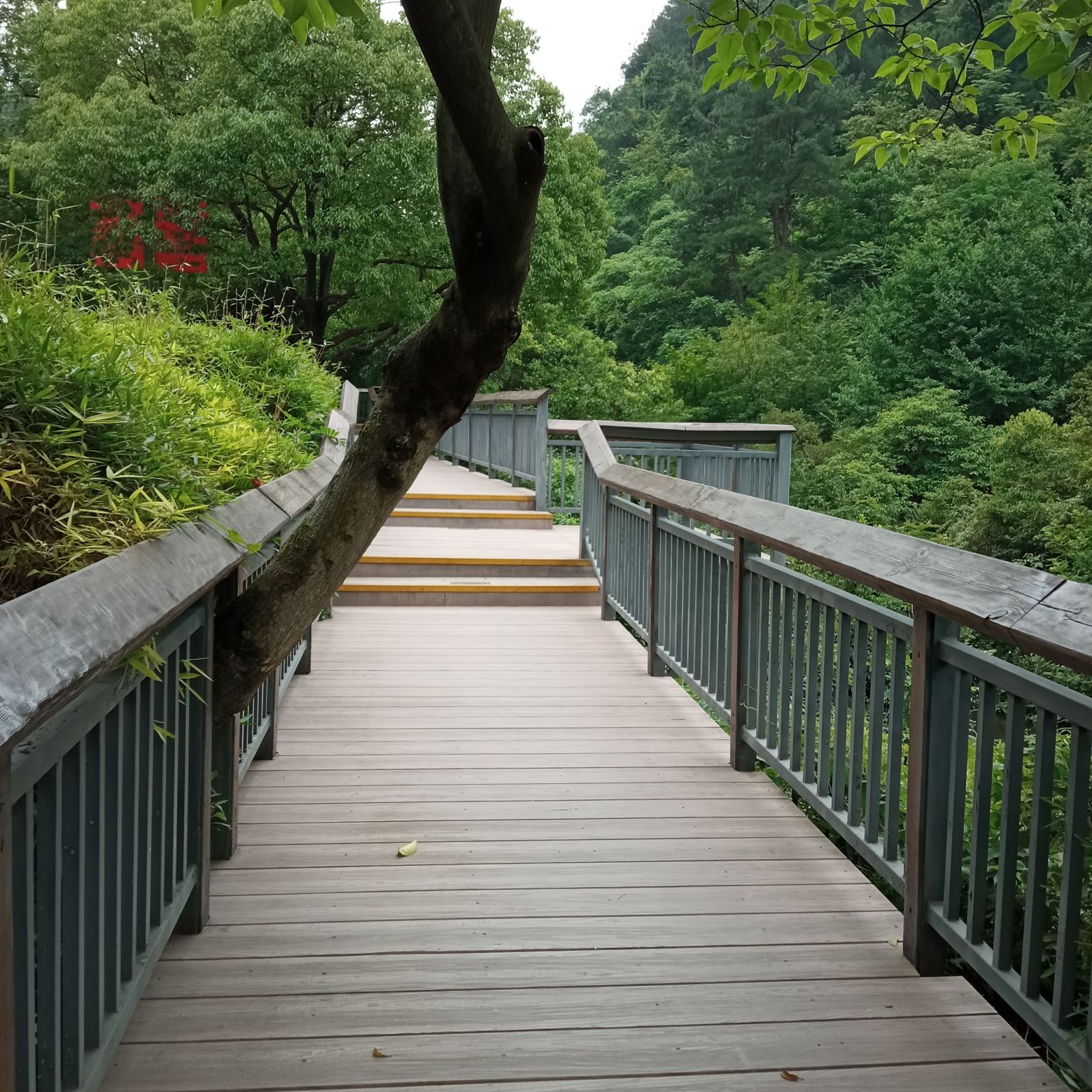 贵阳阿哈湖国家湿地公园旅行图片 1