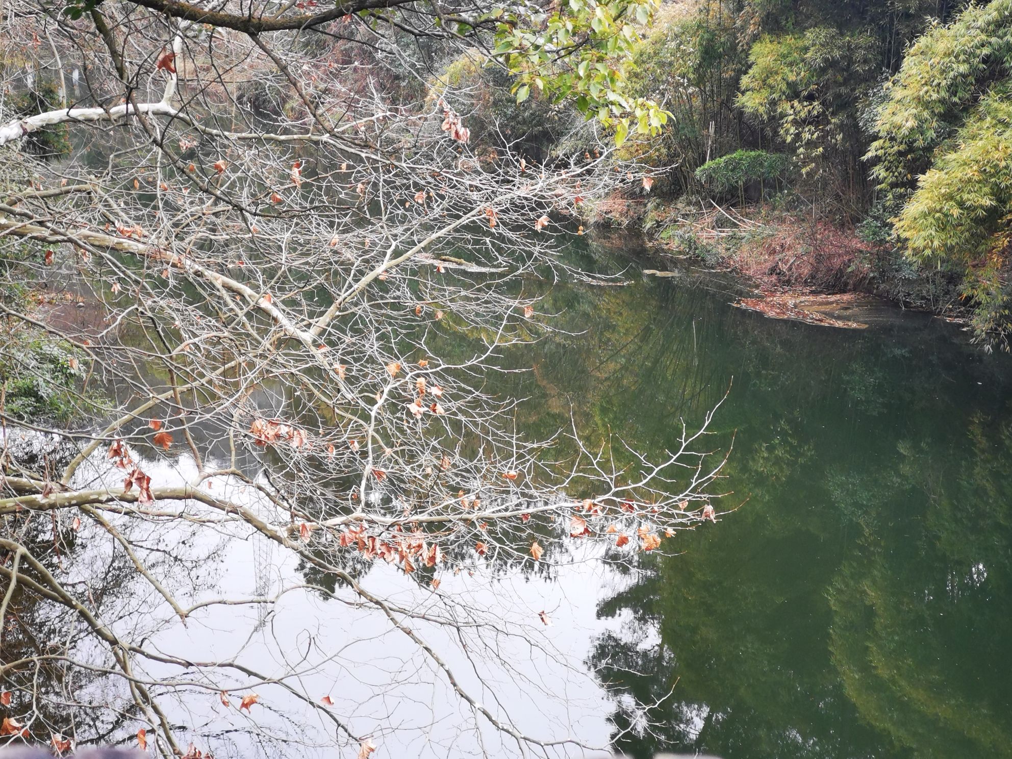 贵阳阿哈湖国家湿地公园旅行图片 1