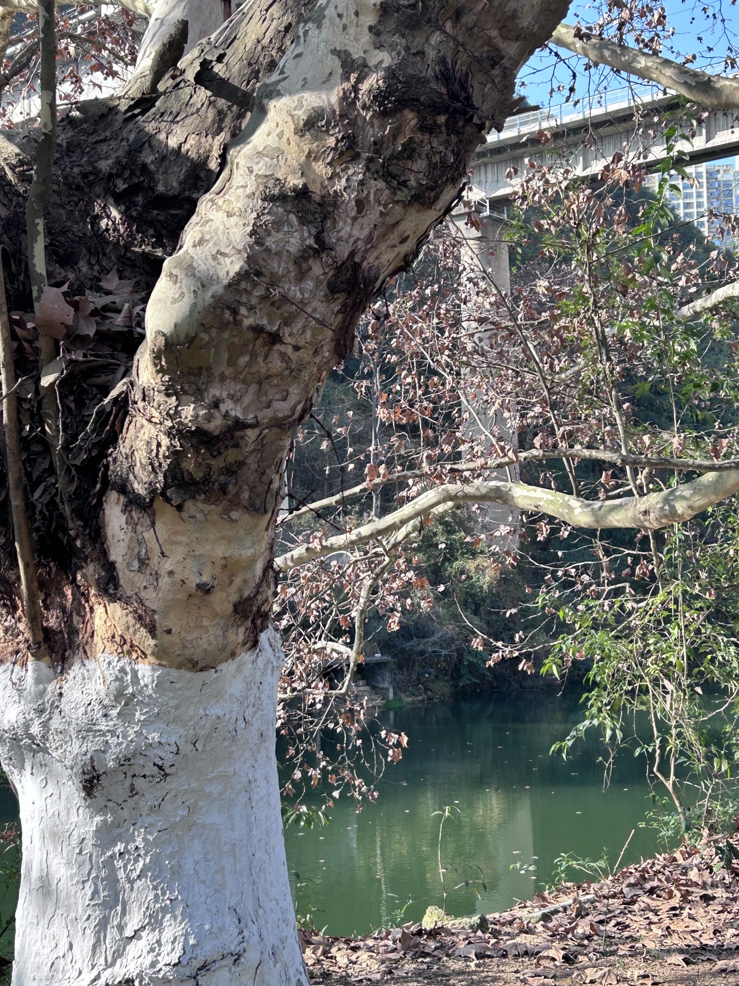 贵阳阿哈湖国家湿地公园旅行图片 3