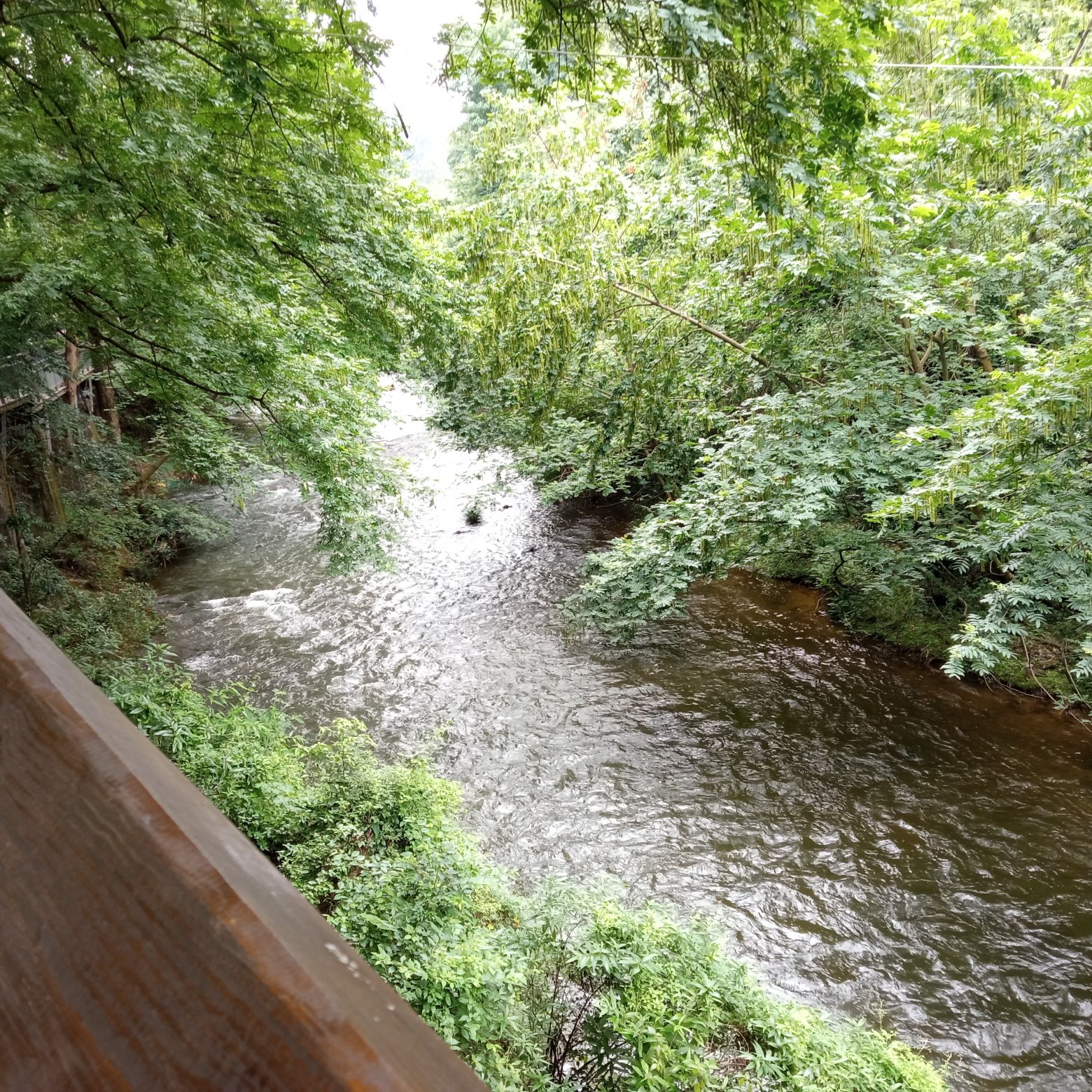 贵阳阿哈湖国家湿地公园旅行图片 2