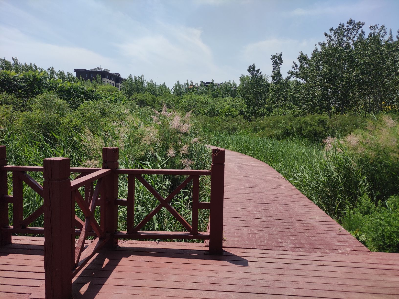 蓟运河故道公园旅行图片 2