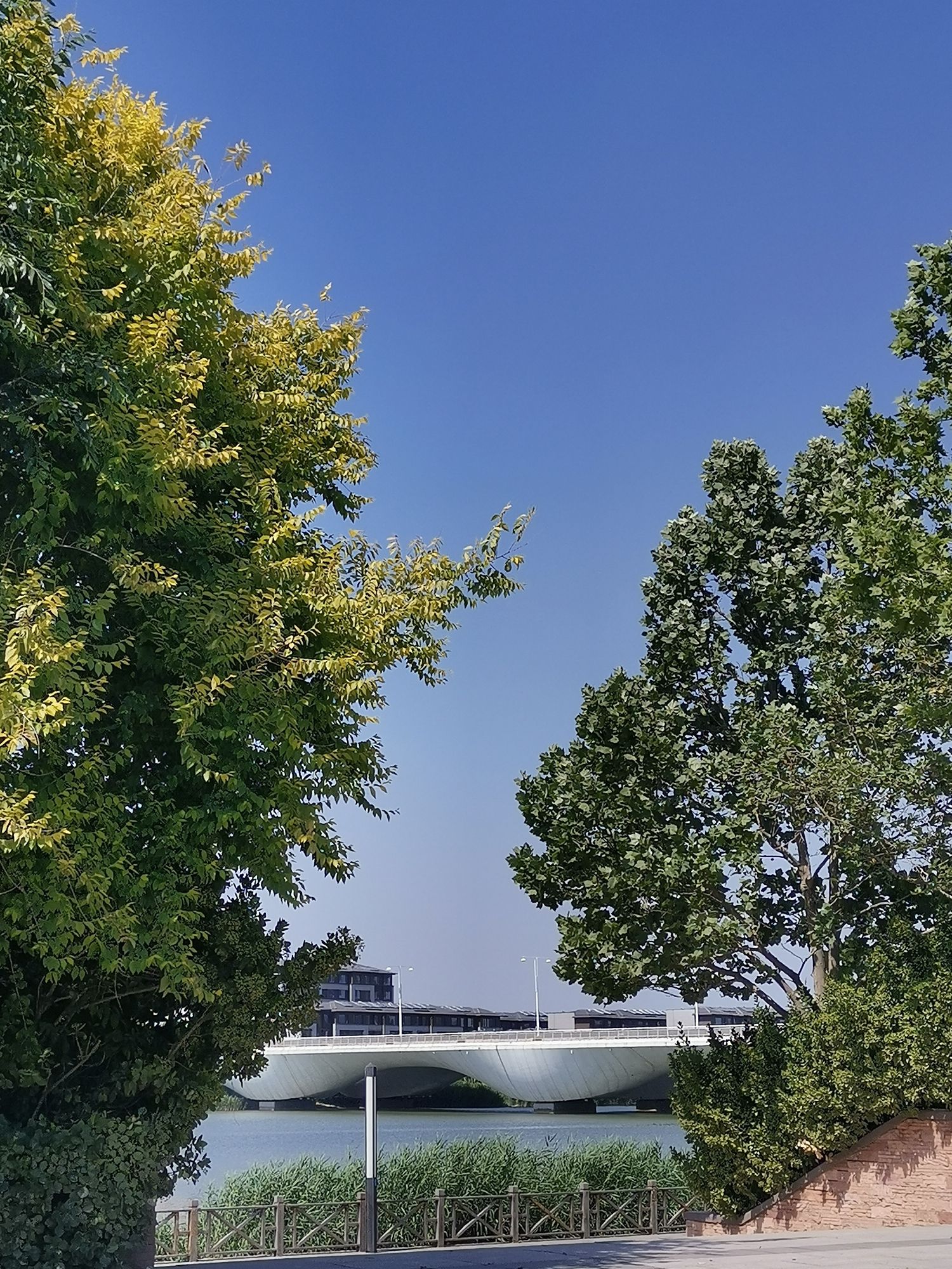 蓟运河故道公园旅行图片 3