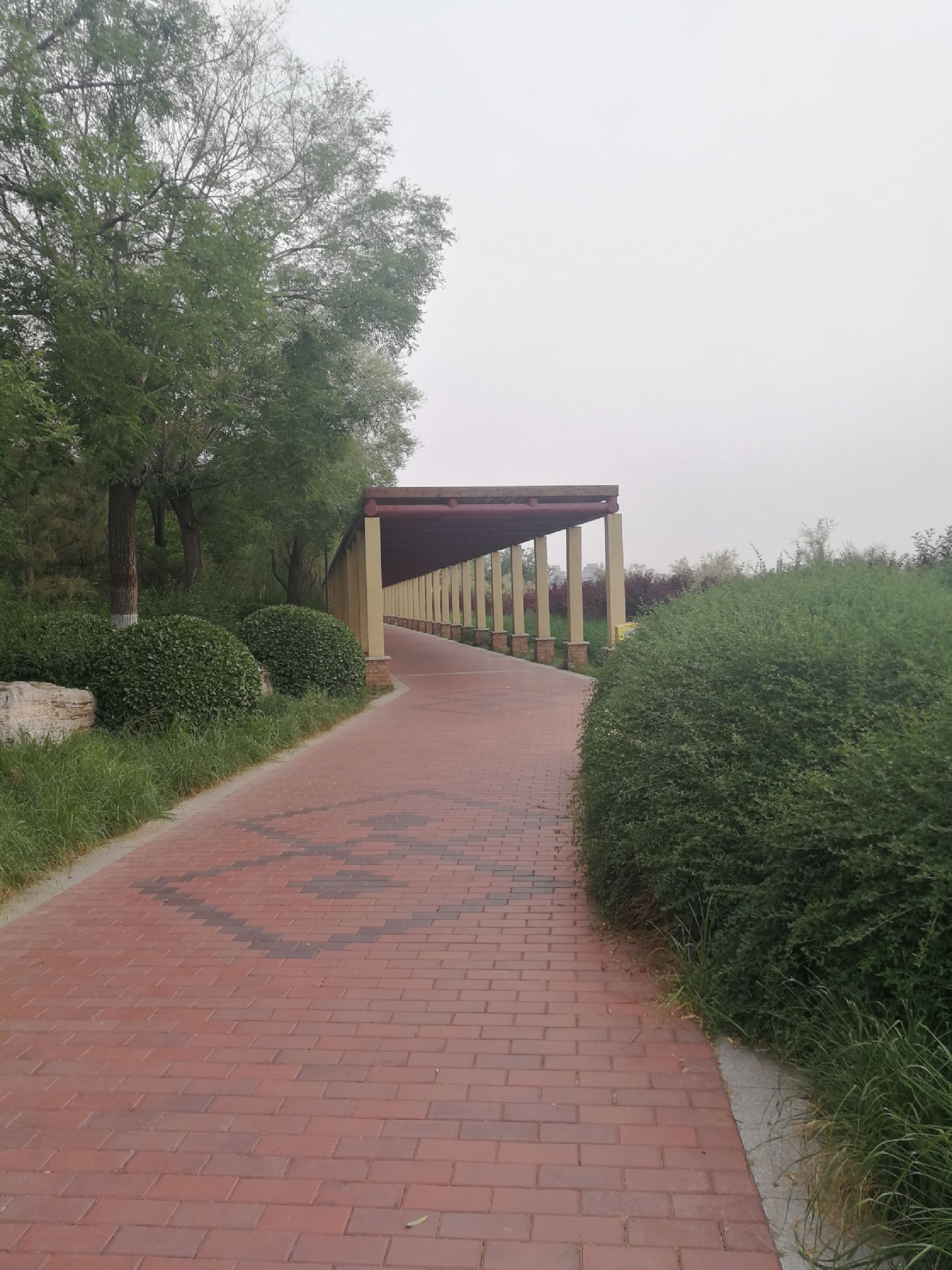 蓟运河故道公园旅行图片 3