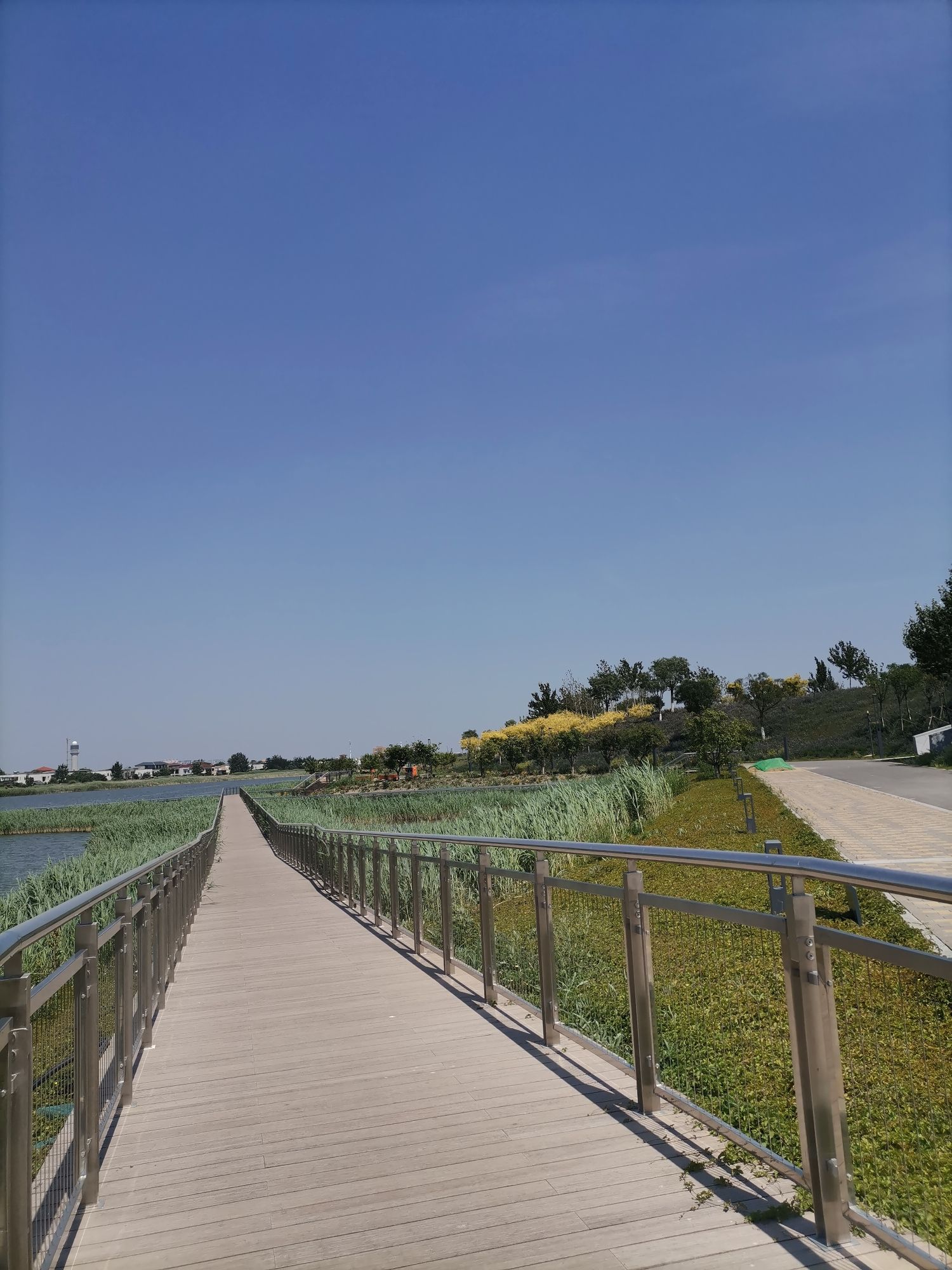 蓟运河故道公园旅行图片 1