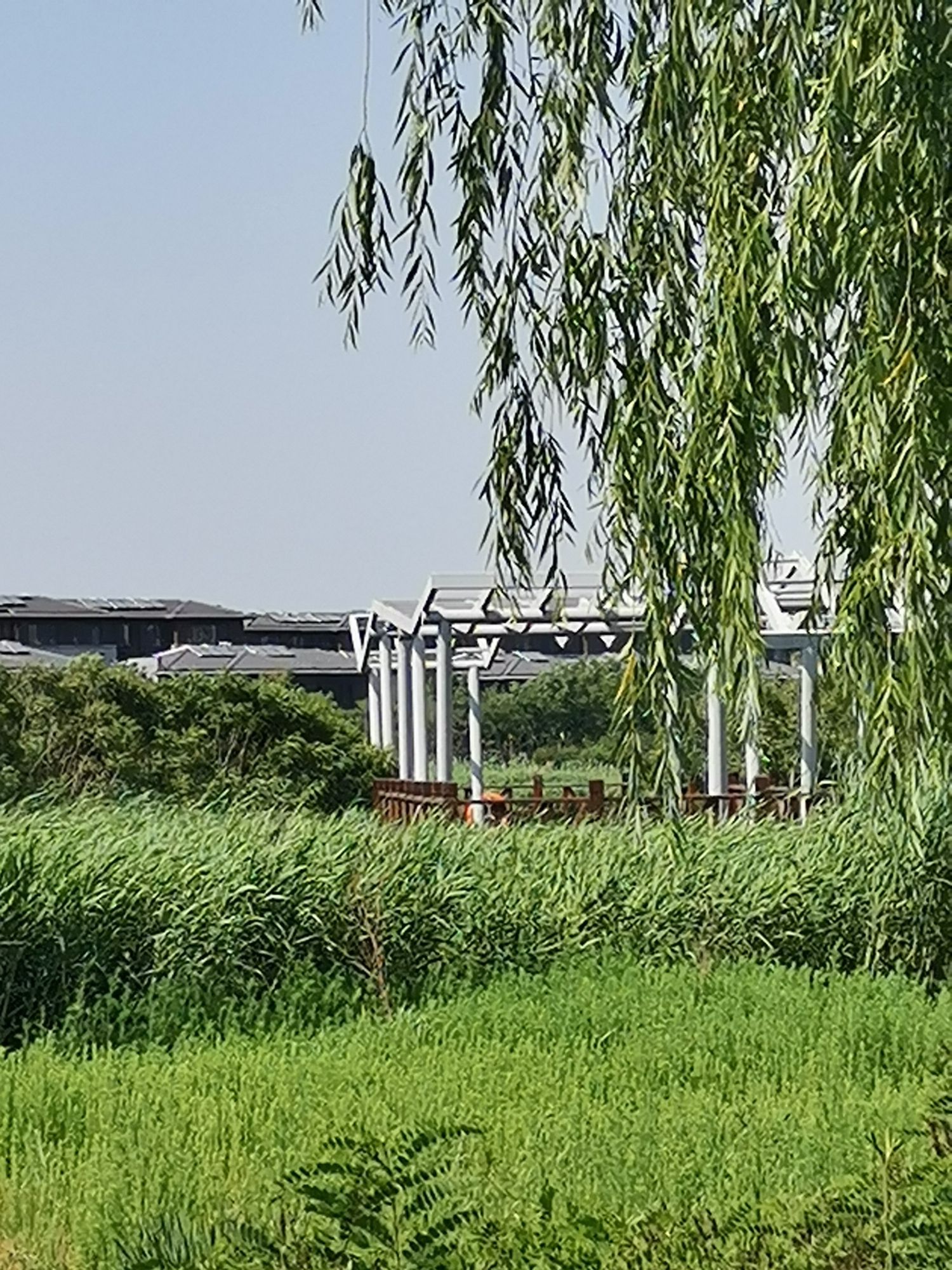 蓟运河故道公园旅行图片 2