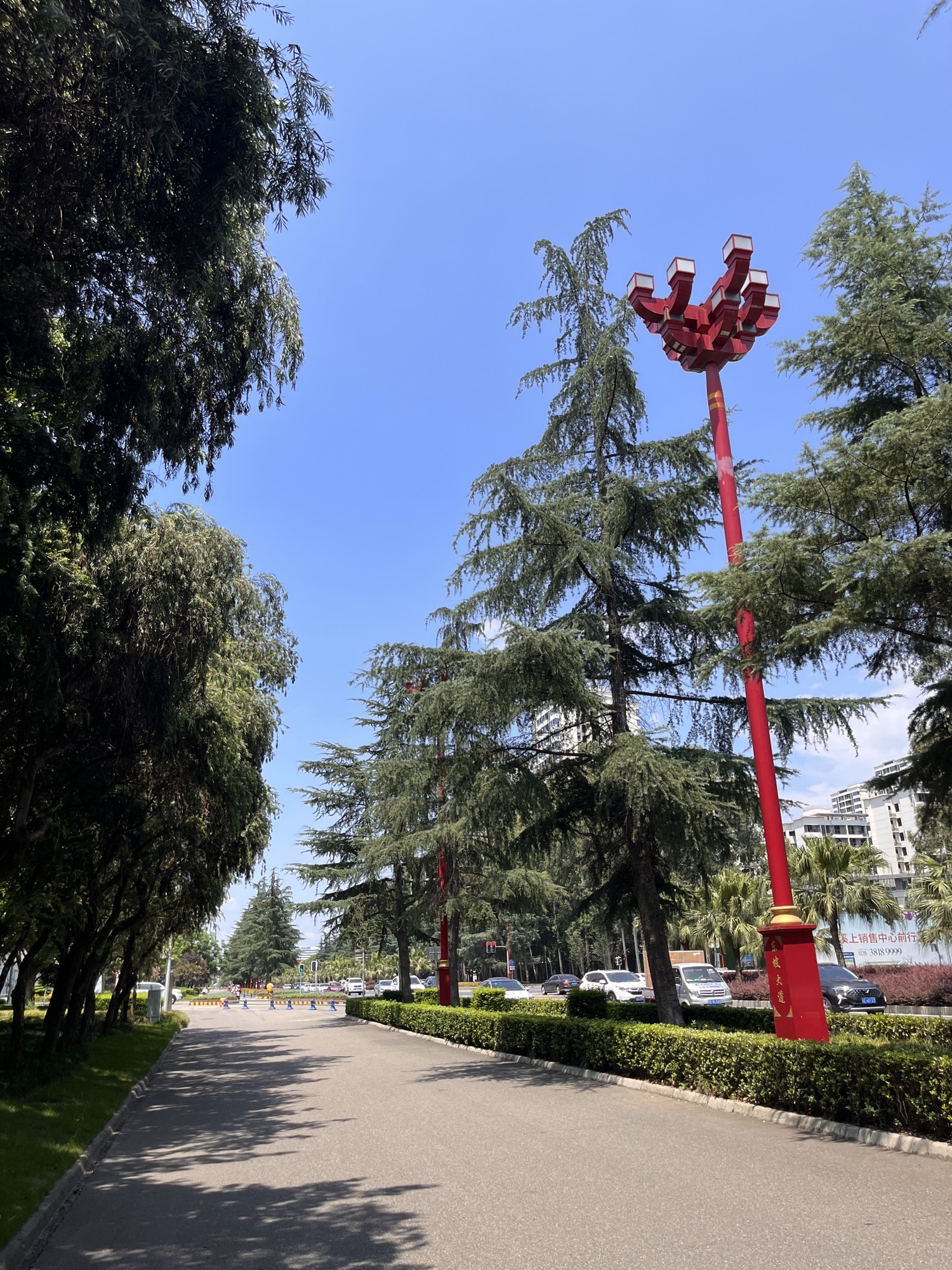 泡菜广场旅行图片 2