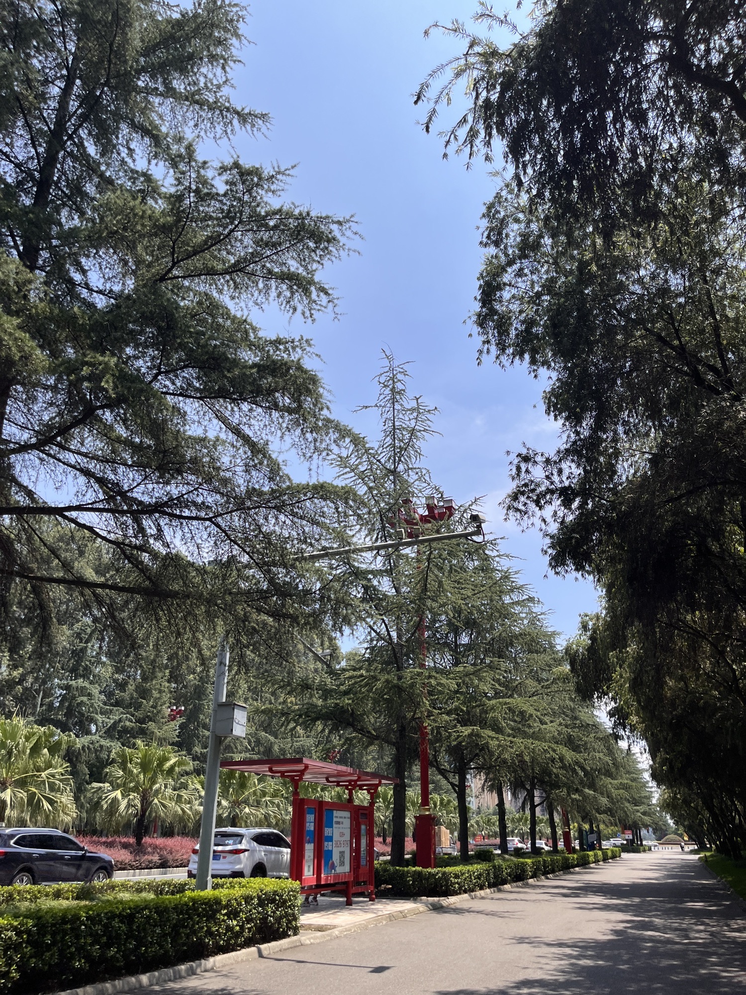 泡菜广场旅行图片 3