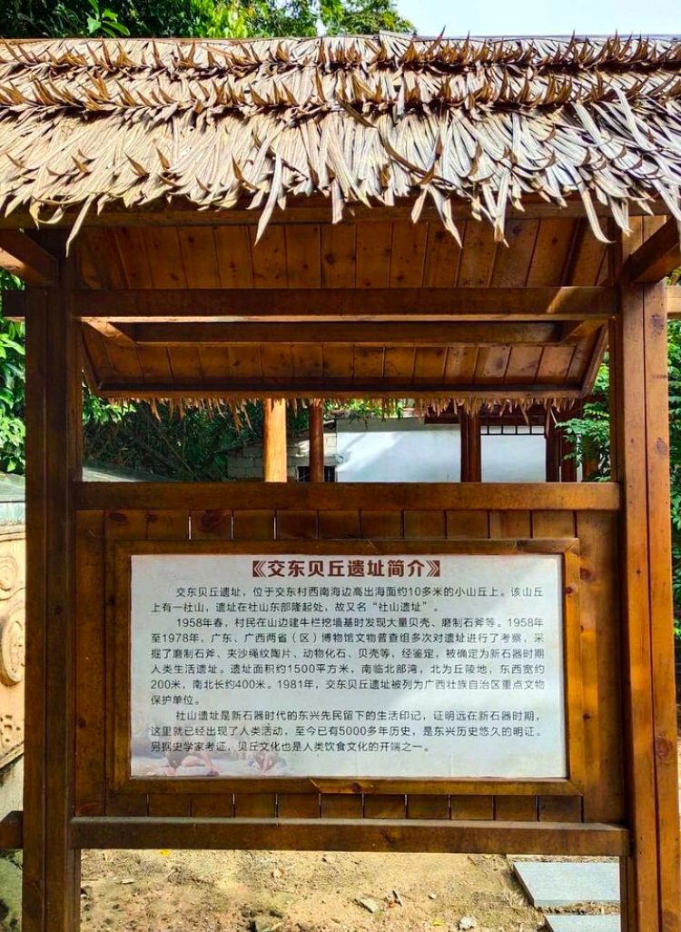 七彩贝丘湾旅行图片 3