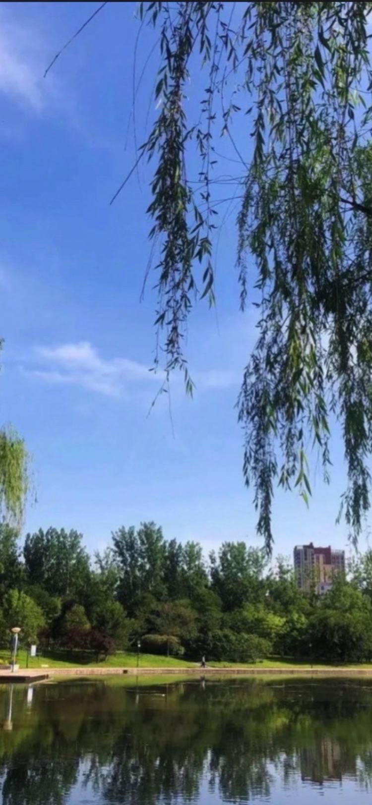 龙海公园旅行图片 3