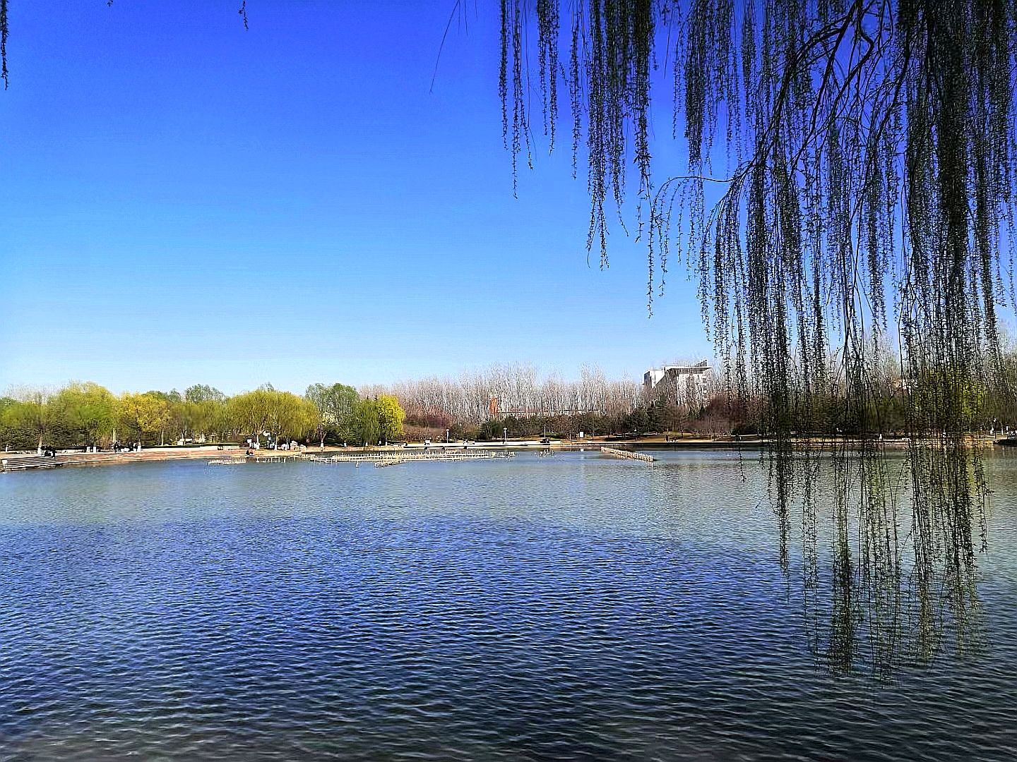 龙海公园旅行图片 2