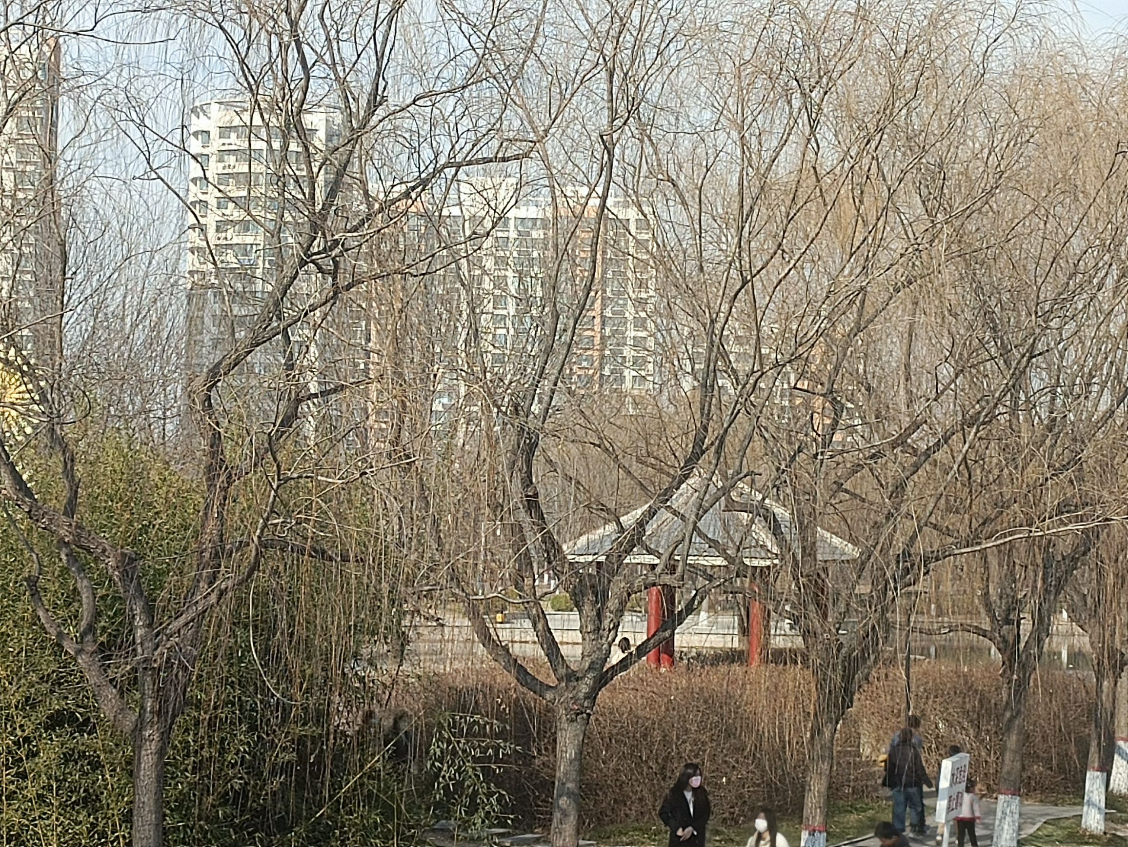 龙海公园旅行图片 1