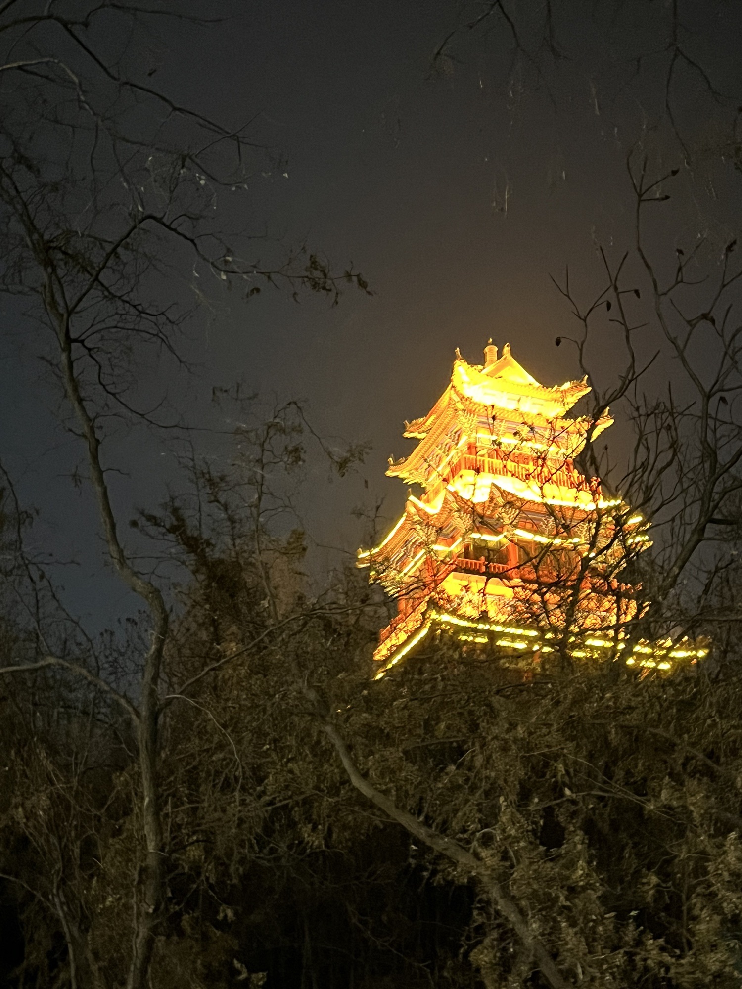 龙海公园旅行图片 2