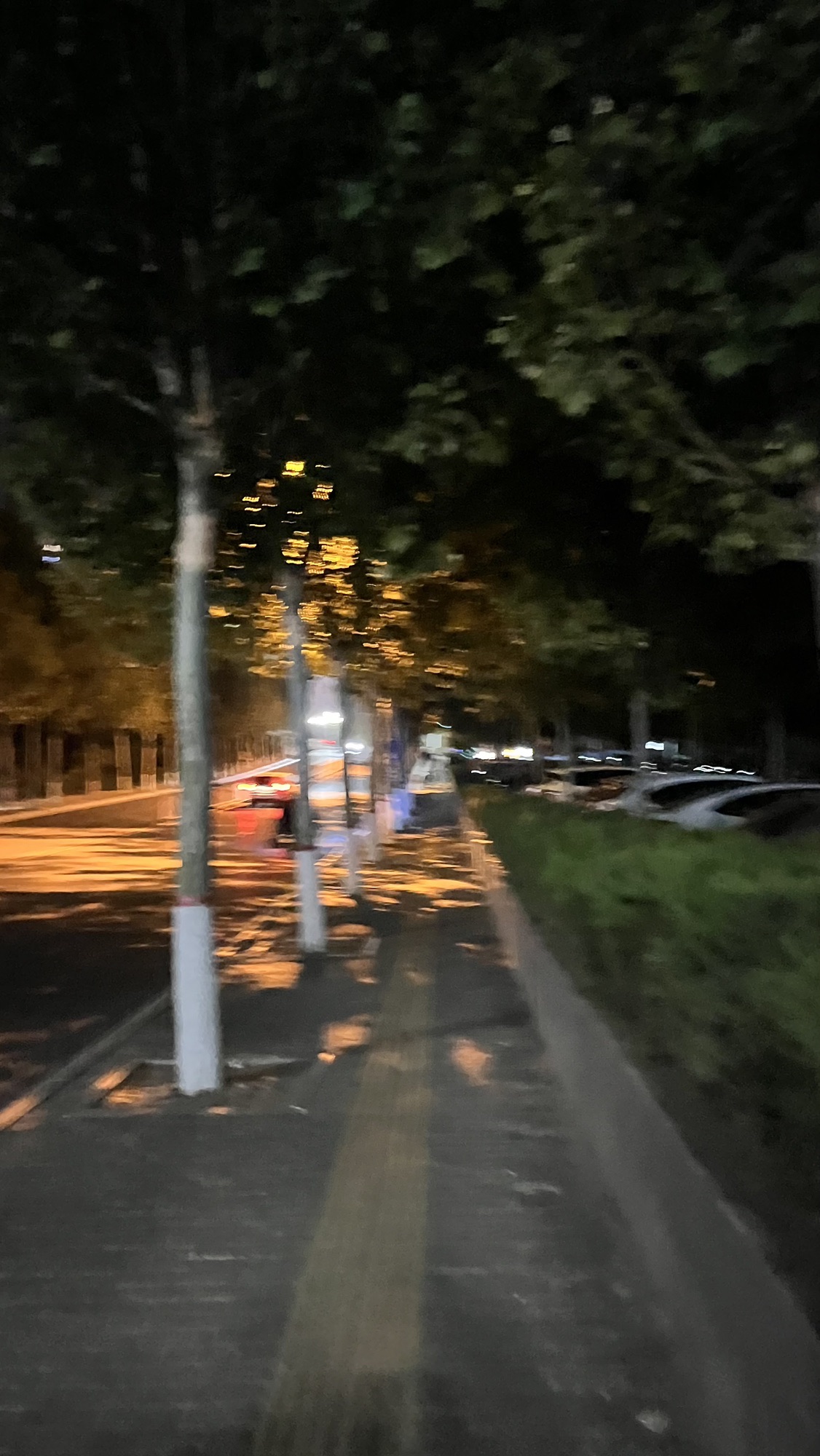 龙海公园旅行图片 1