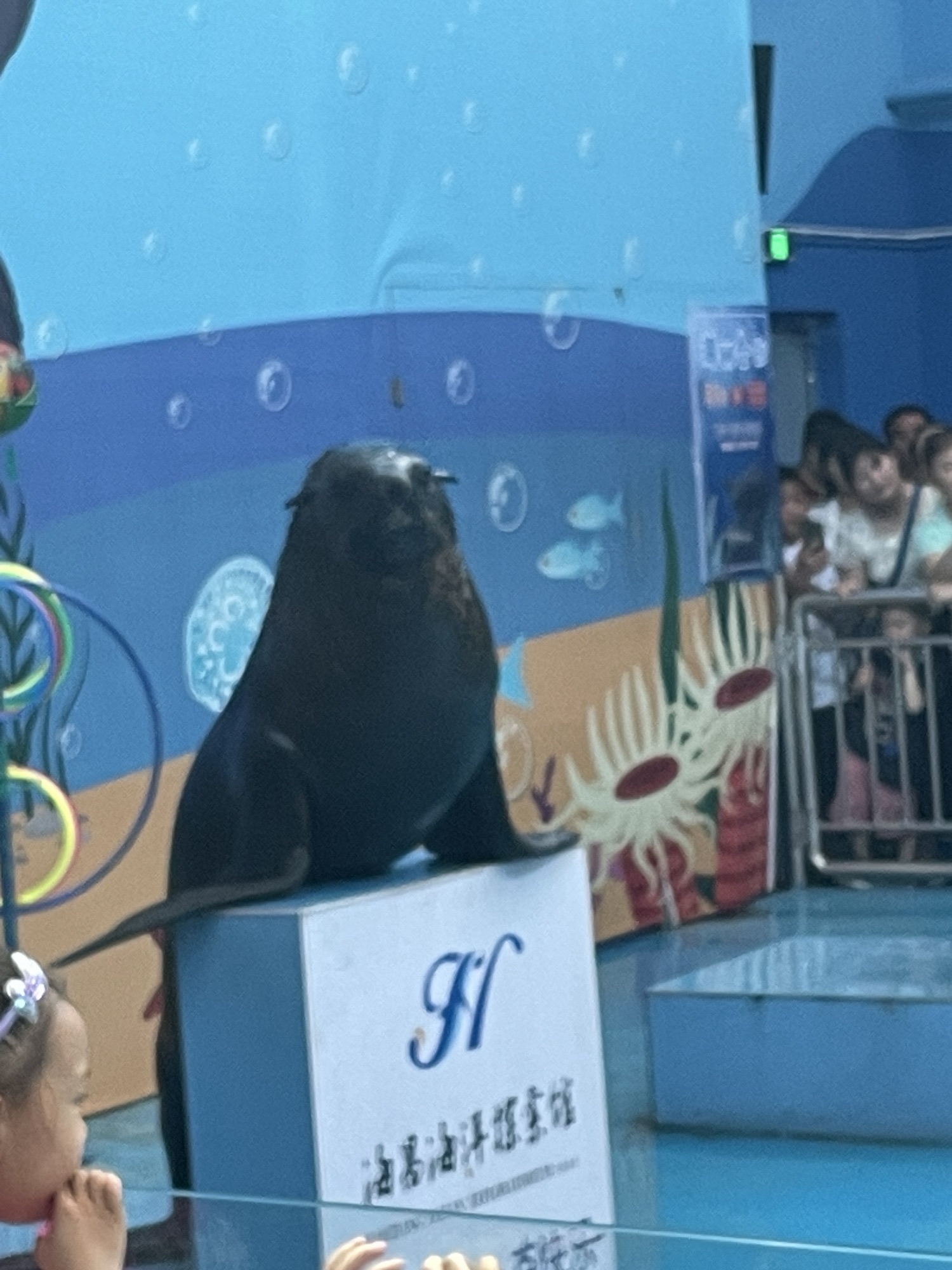 临汾海昌海洋探索馆旅行图片 1