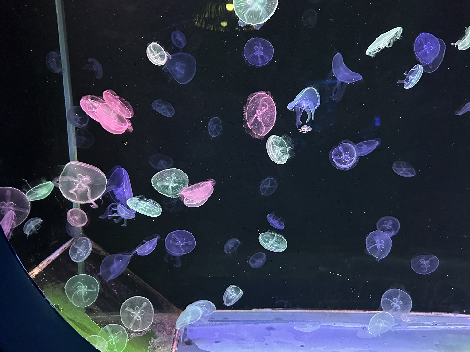 临汾海昌海洋探索馆旅行图片 3