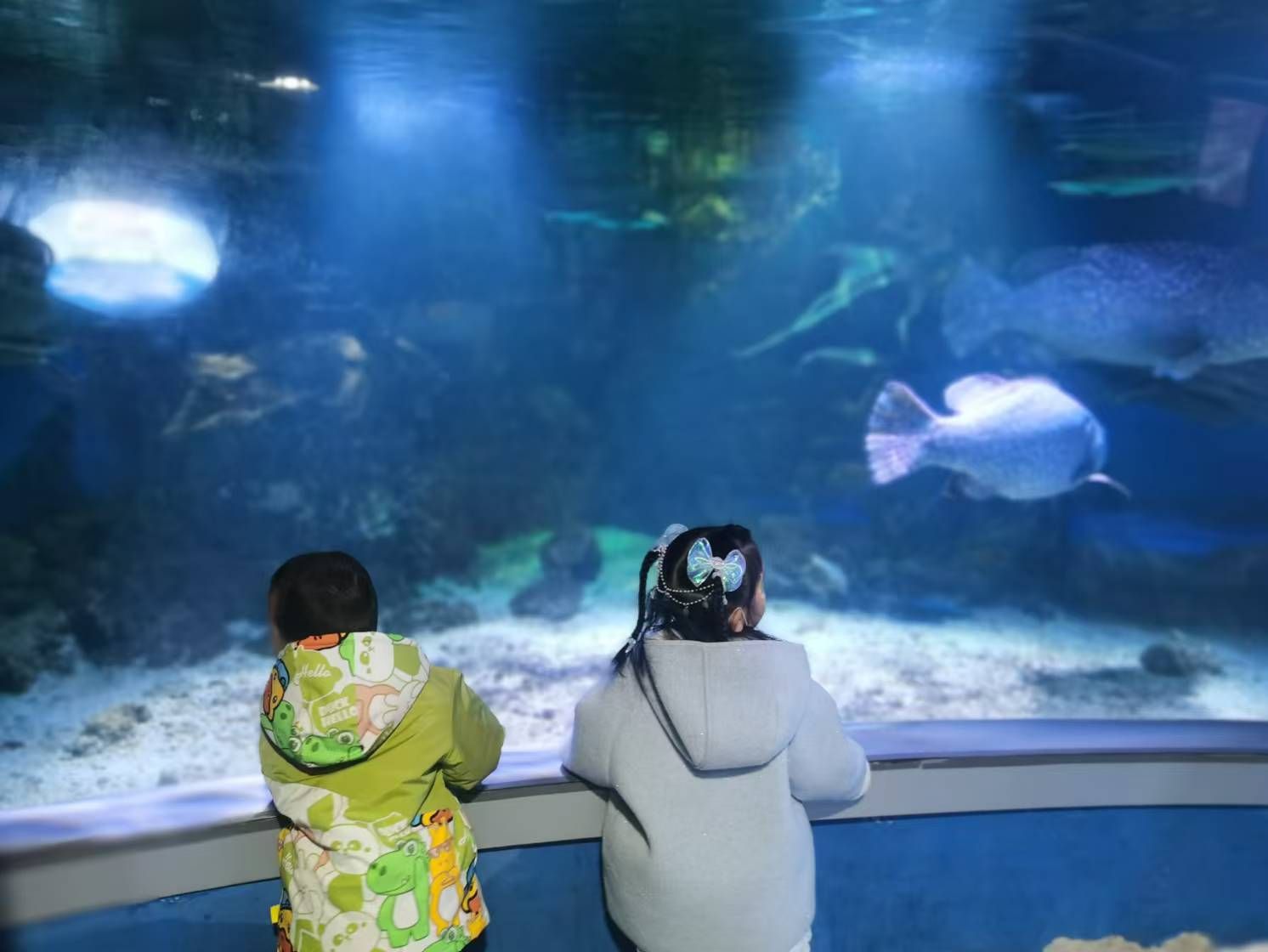 临汾海昌海洋探索馆旅行图片 1