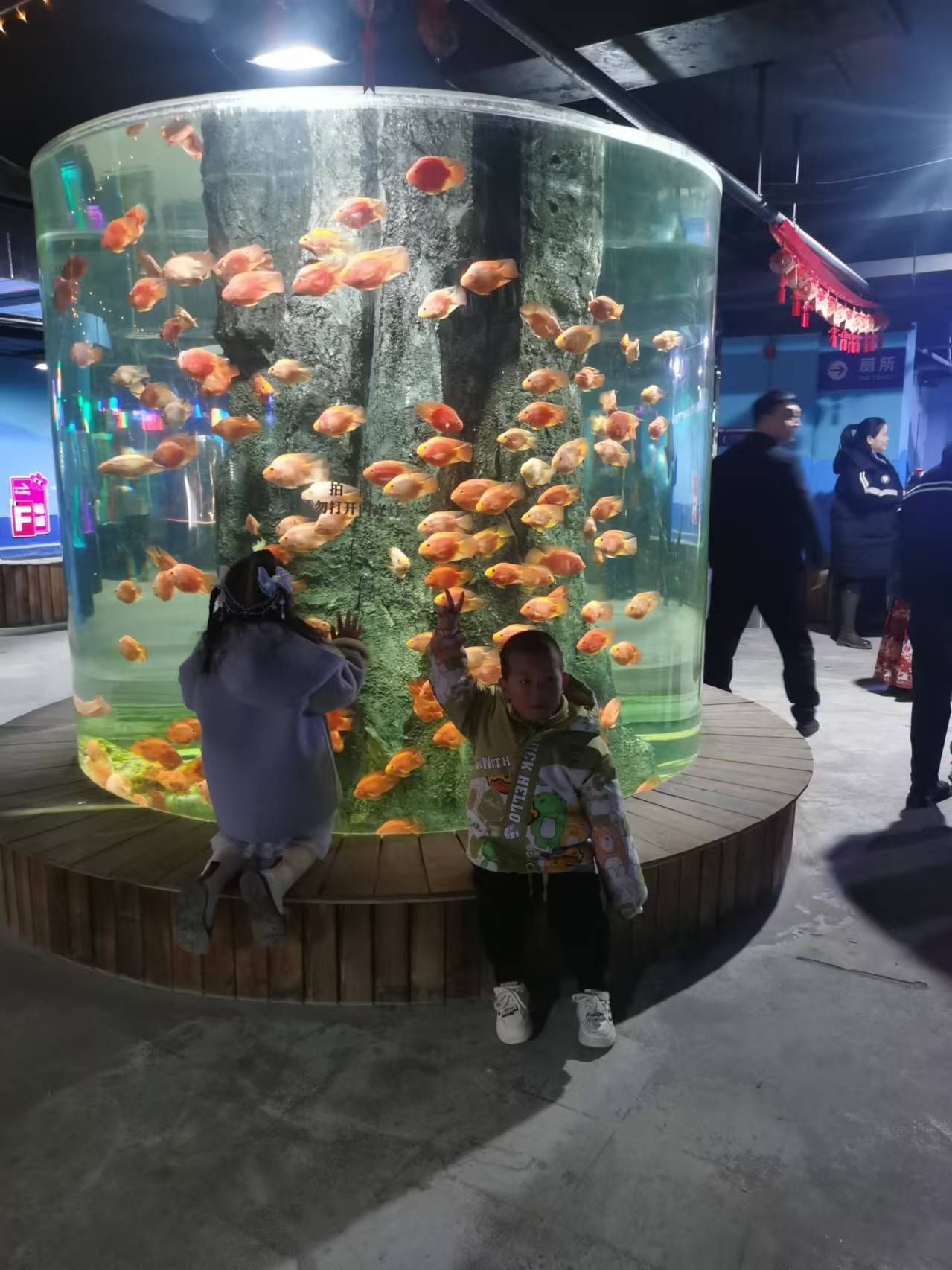 临汾海昌海洋探索馆旅行图片 2
