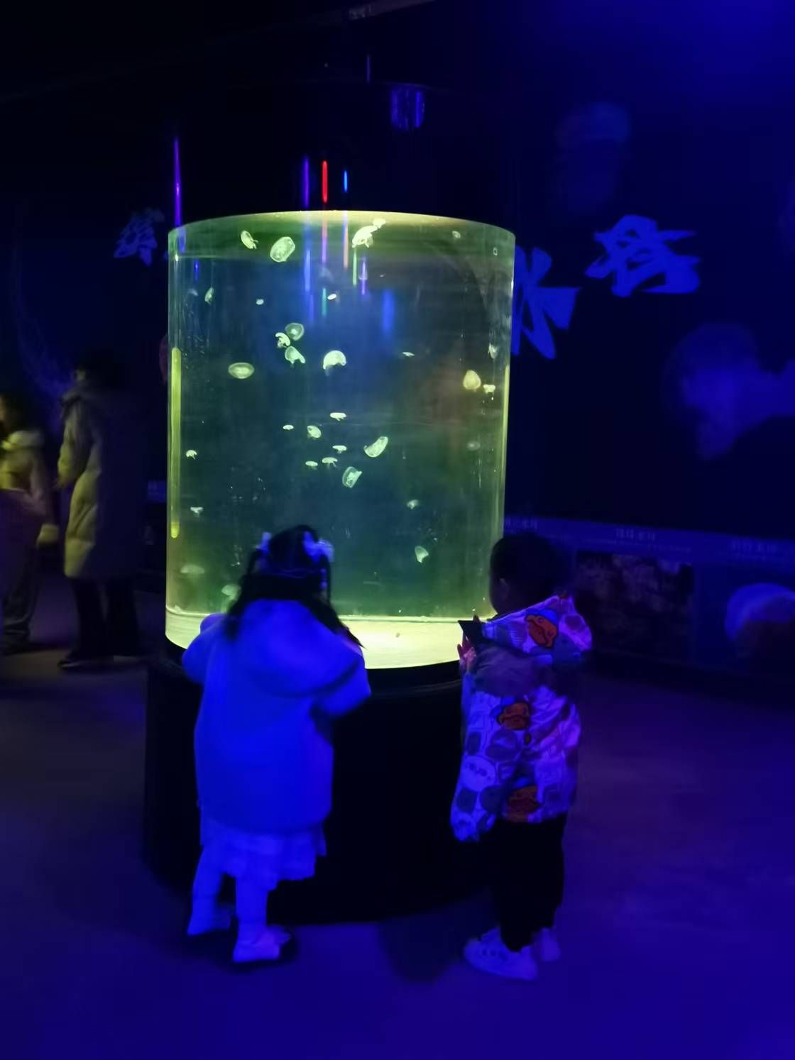 临汾海昌海洋探索馆旅行图片 3