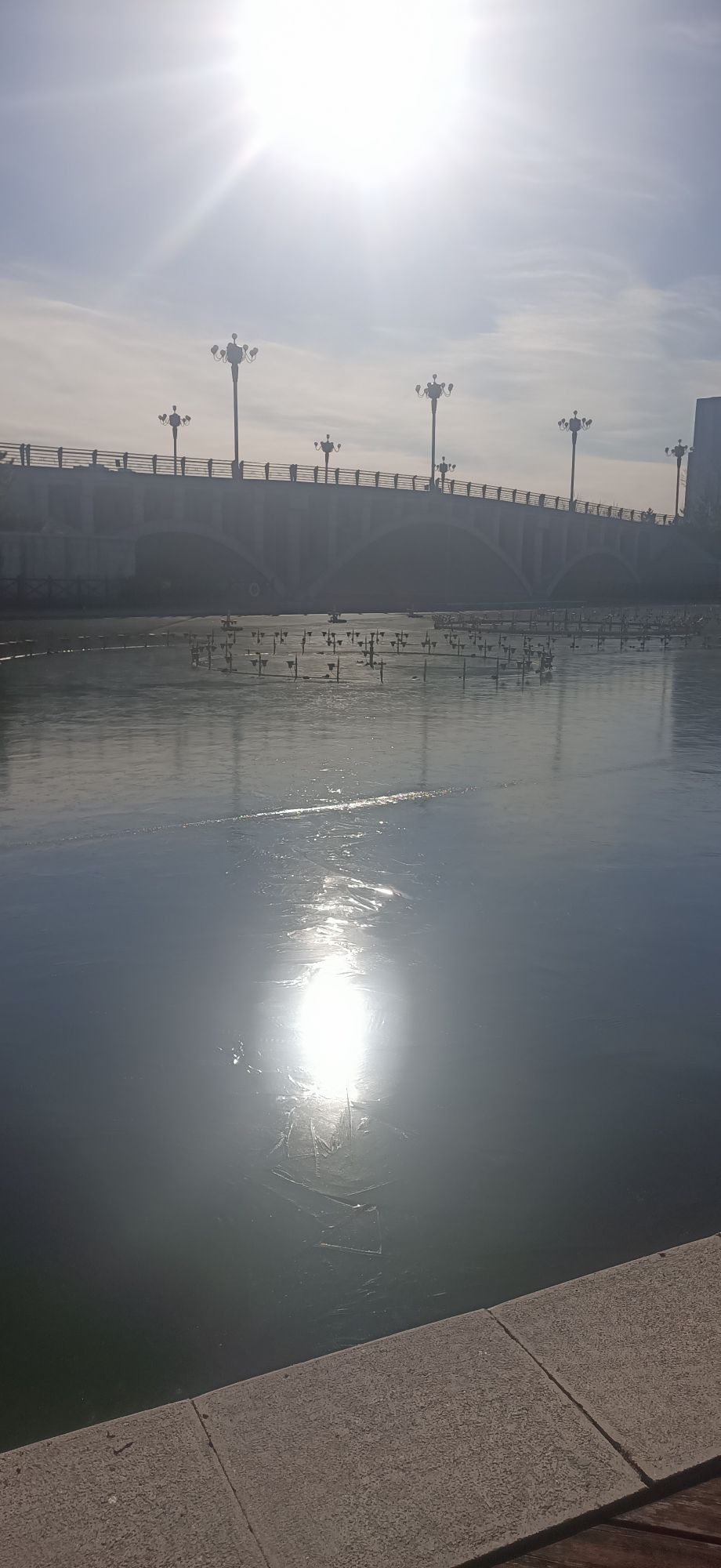 五莲人民公园旅行图片 1