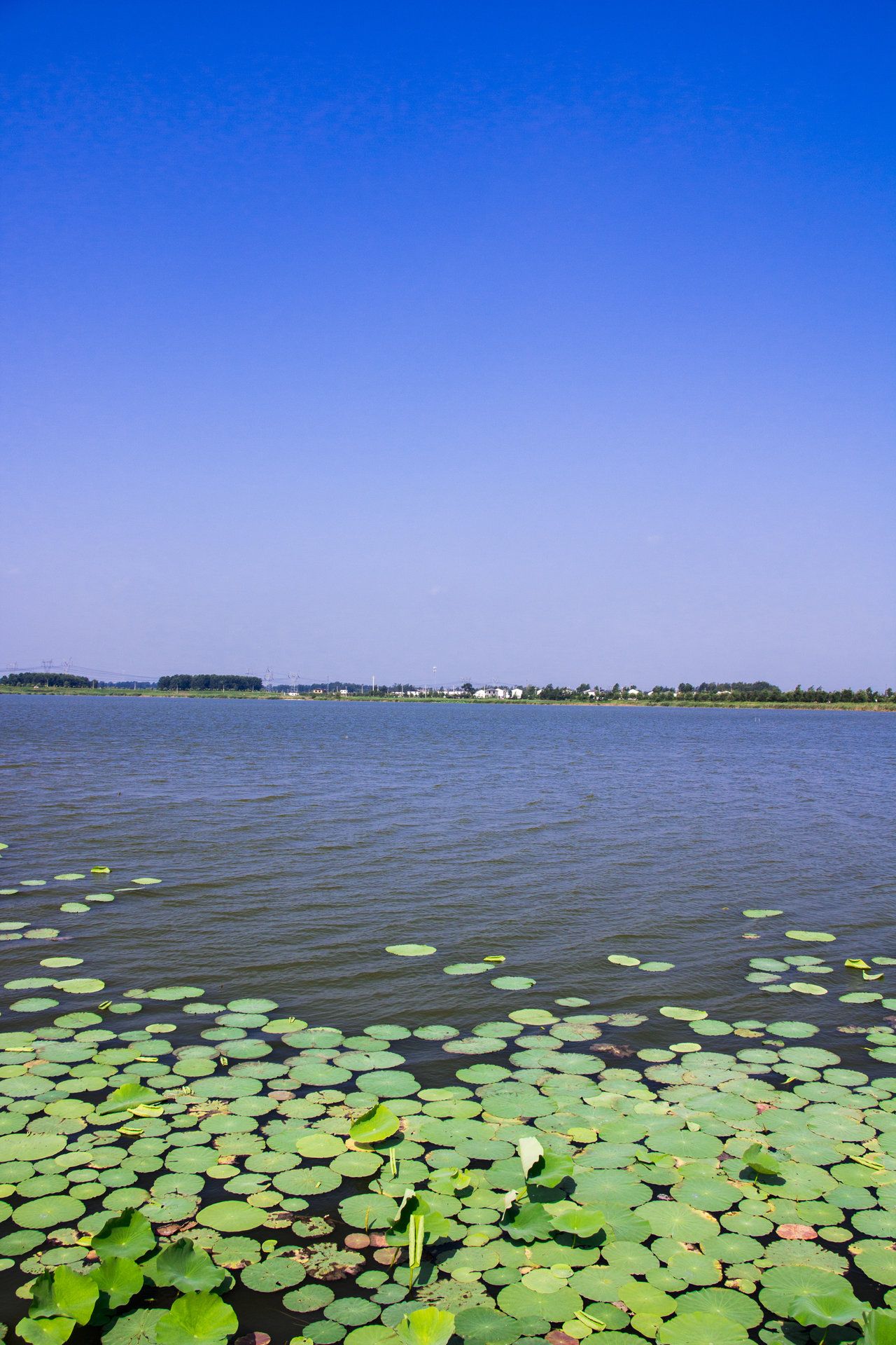 渊子湖景区旅行图片 1
