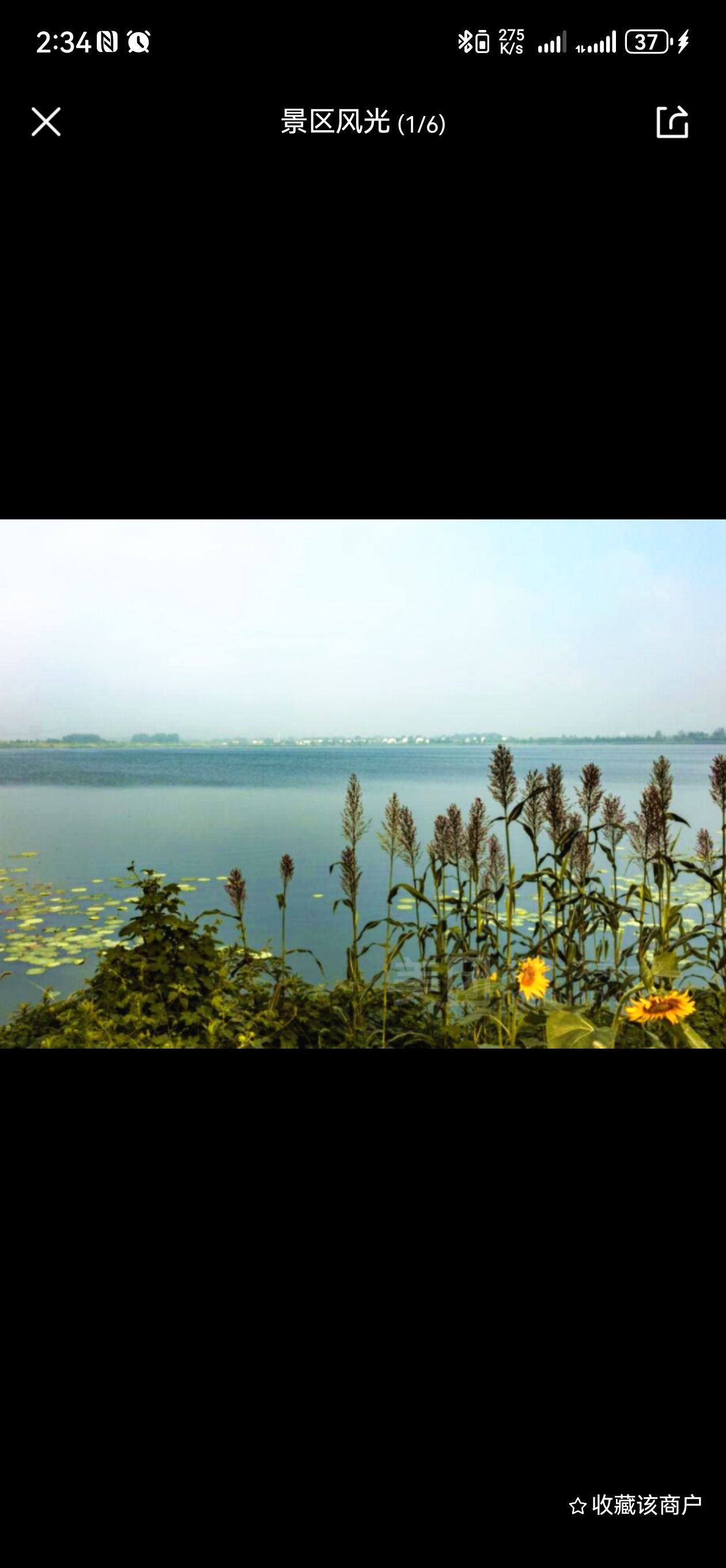 渊子湖景区旅行图片 3