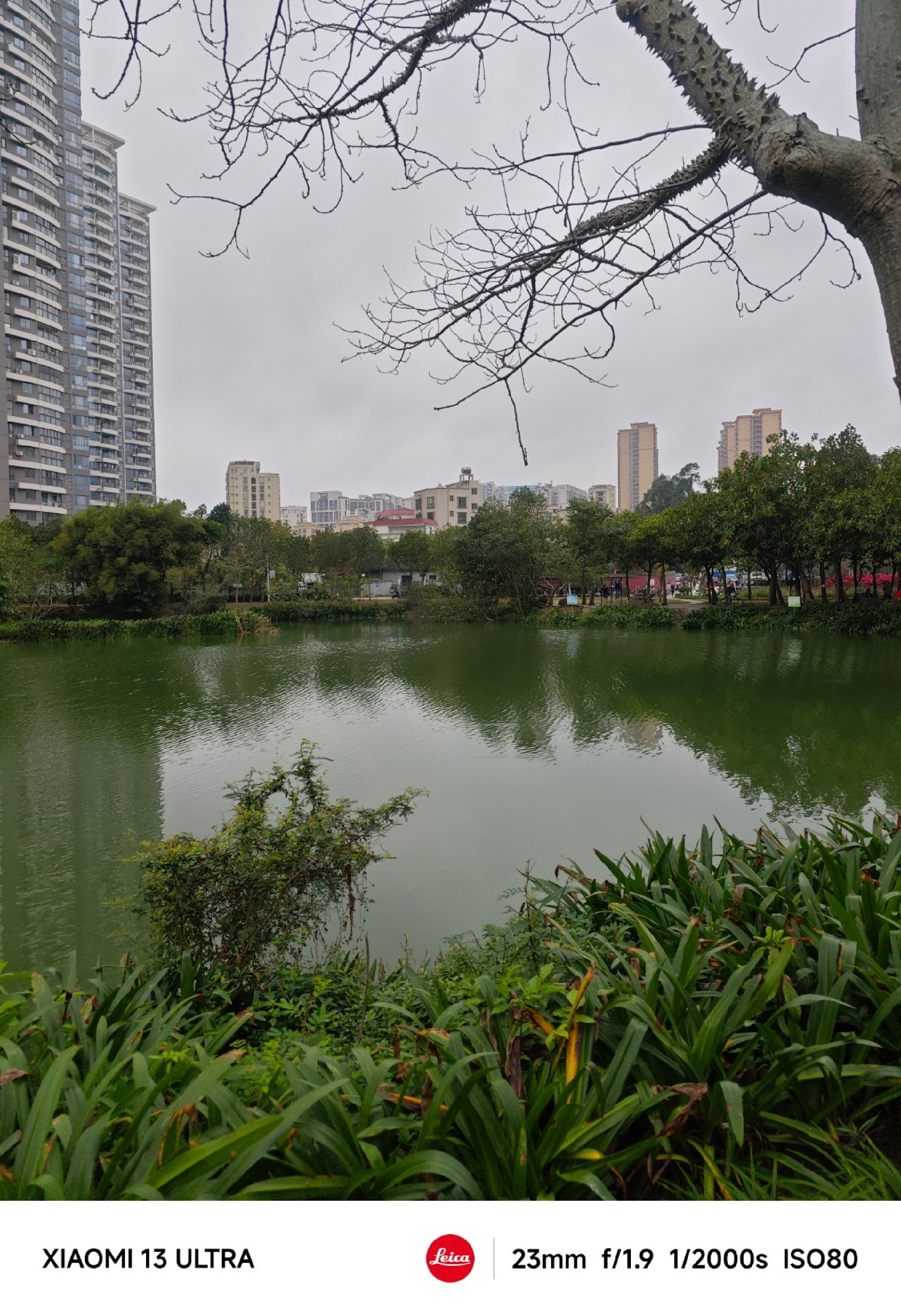 绿塘河国家城市湿地公园旅行图片 1