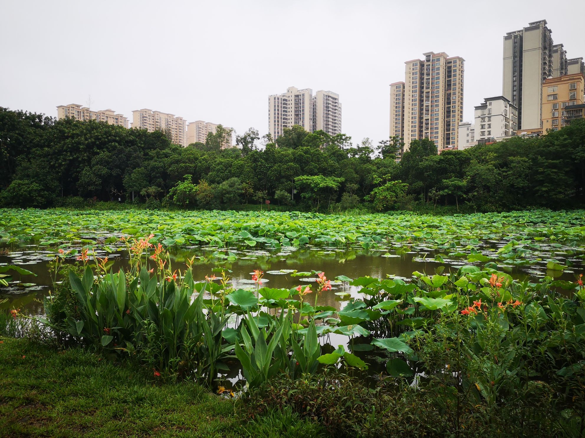 绿塘河国家城市湿地公园旅行图片 2
