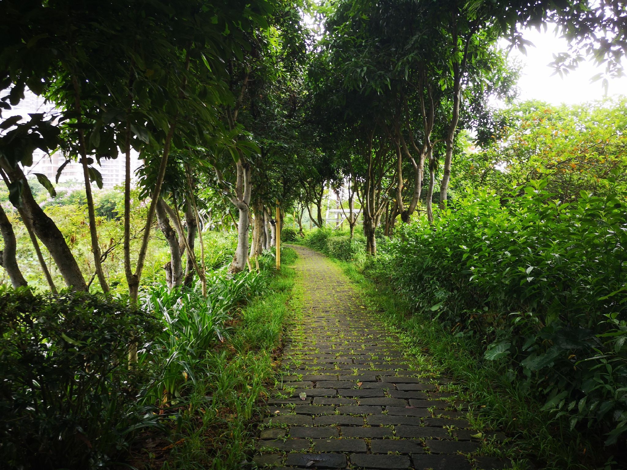 绿塘河国家城市湿地公园旅行图片 1