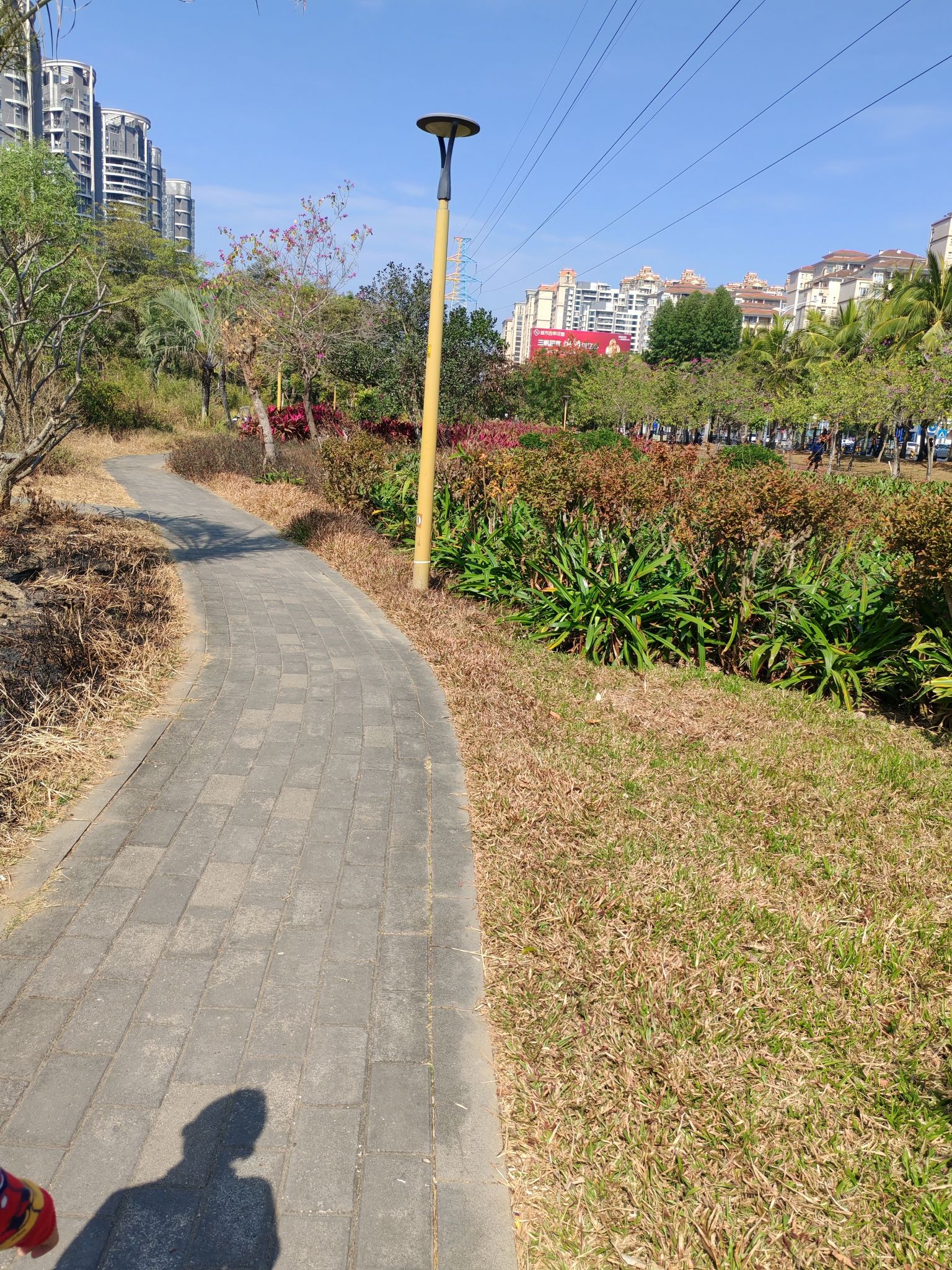 绿塘河国家城市湿地公园旅行图片 1