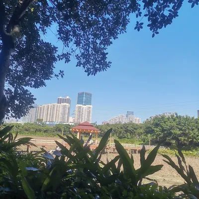绿塘河国家城市湿地公园旅行图片 2