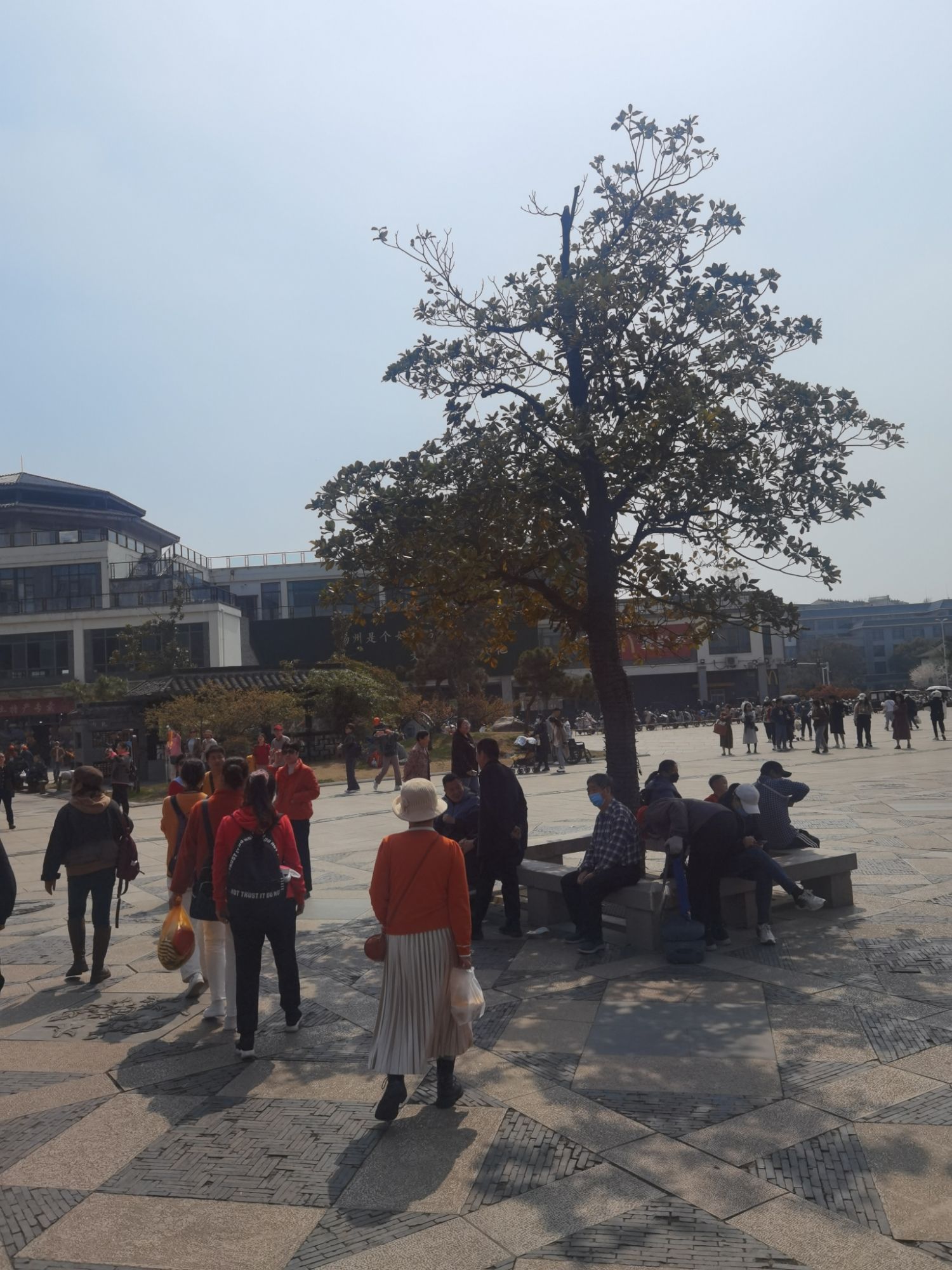 瘦西湖念四桥旅行图片 3