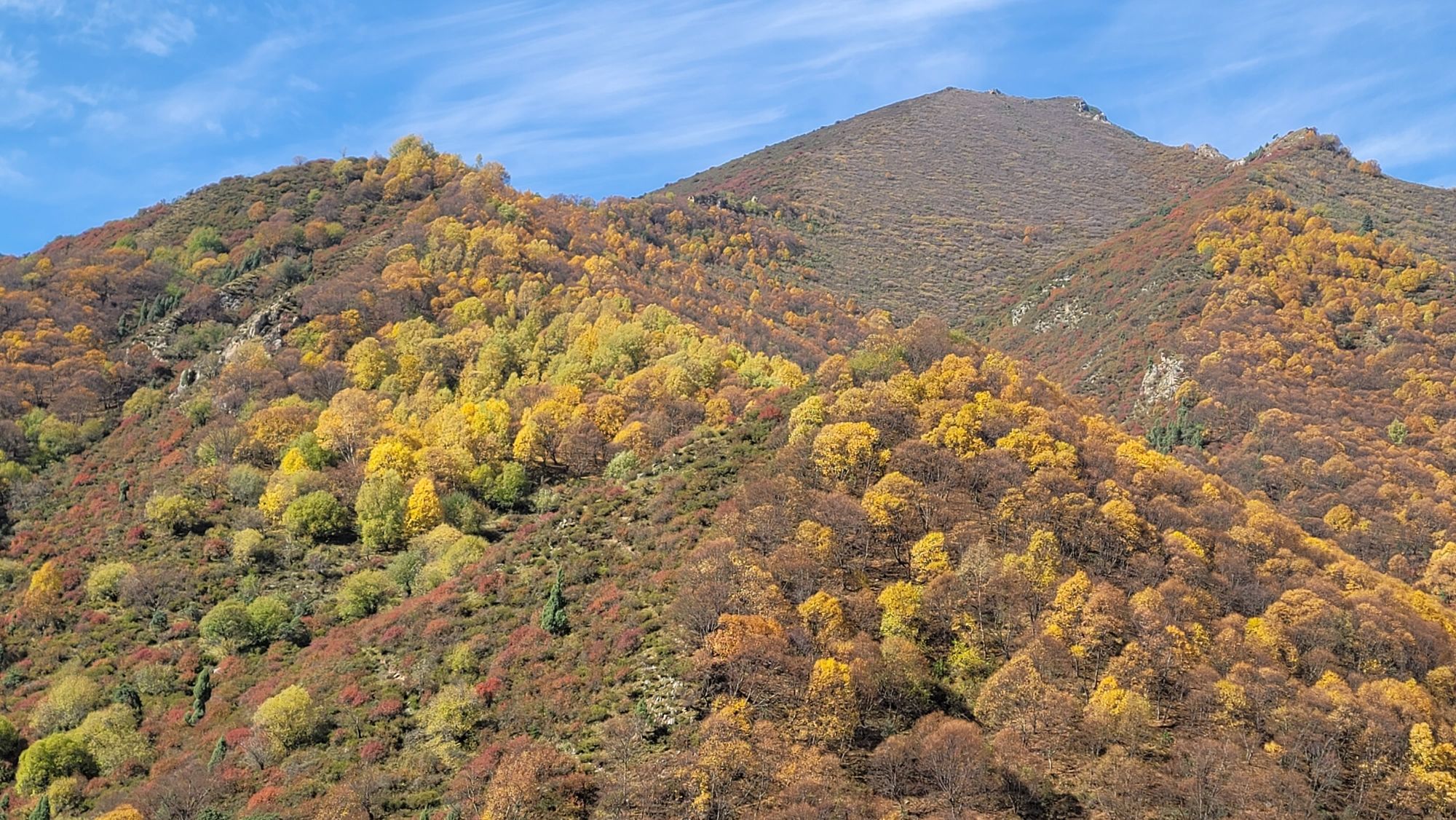 仙米国家森林公园