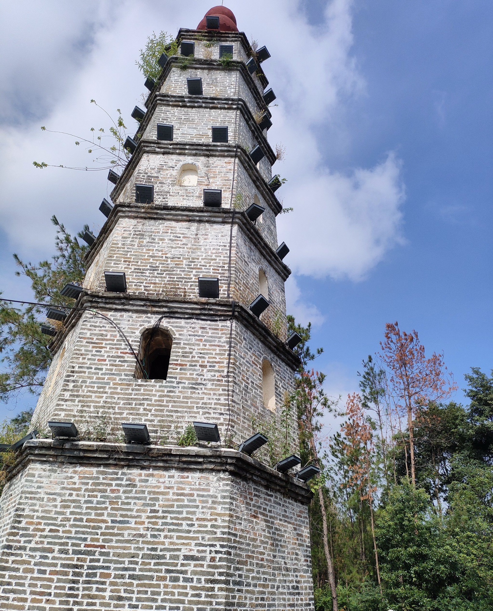 黑塔公园旅行图片 3