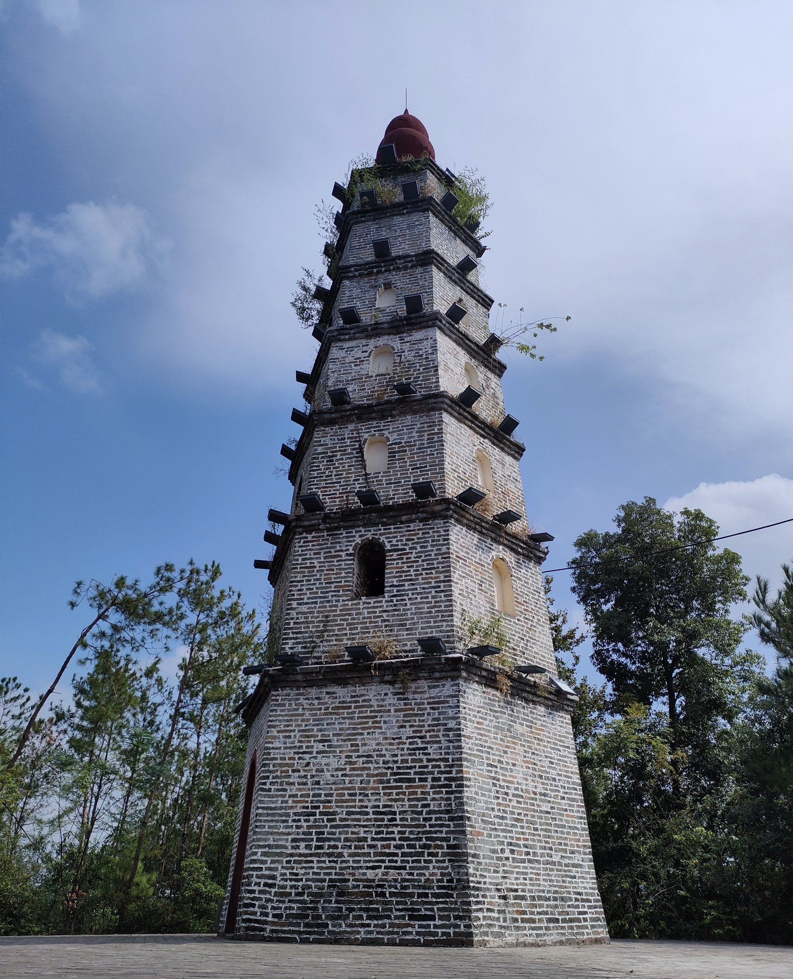 黑塔公园旅行图片 1