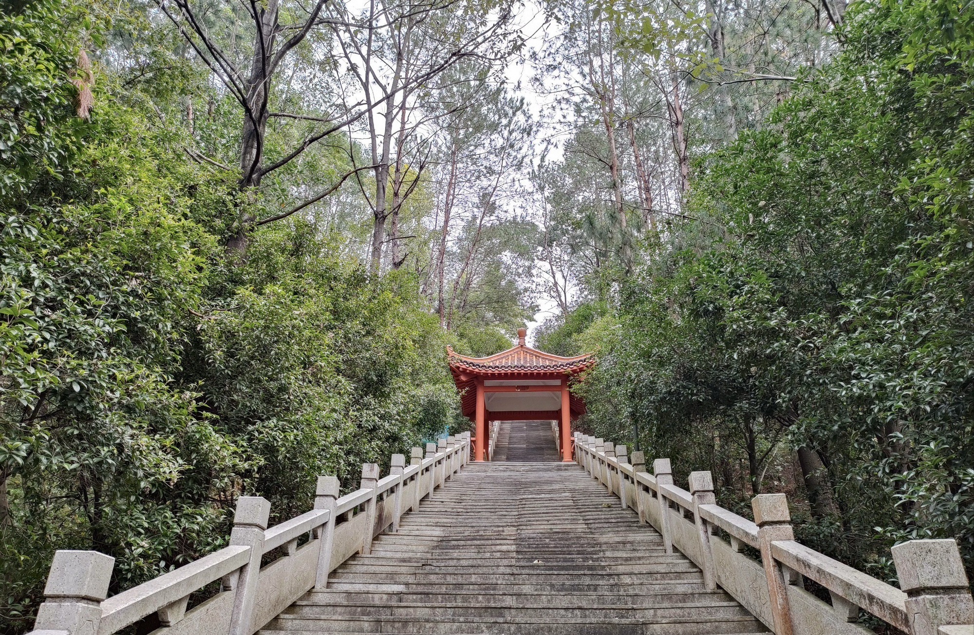 黑塔公园旅行图片 2