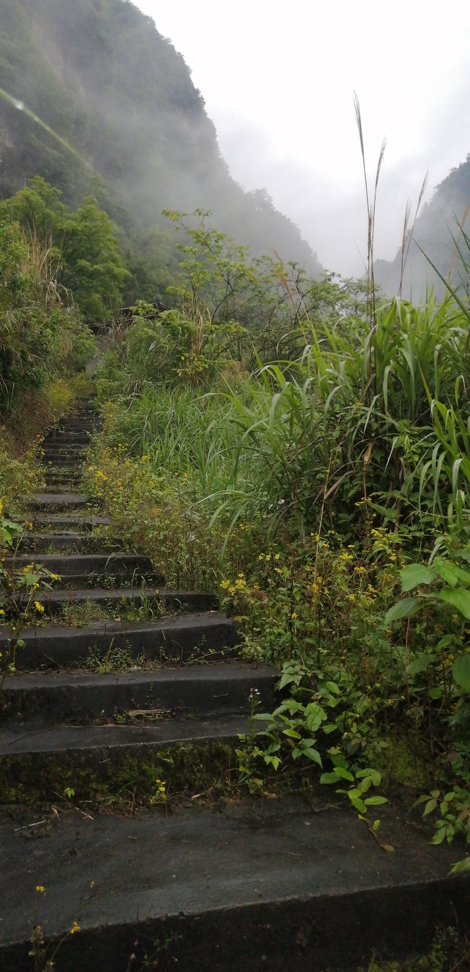 五岔沟峡谷风景区旅行图片 2