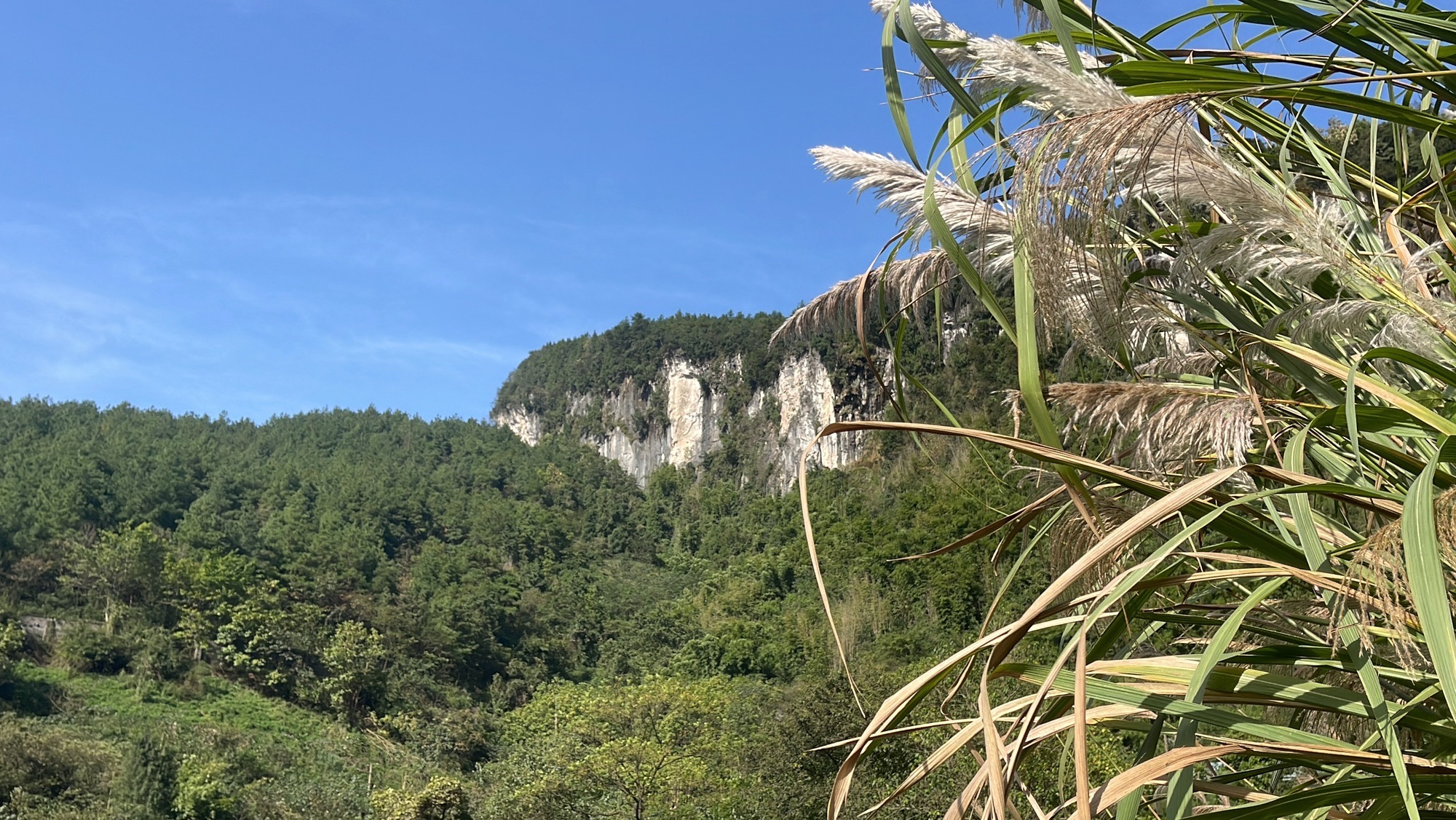 五岔沟峡谷风景区旅行图片 1